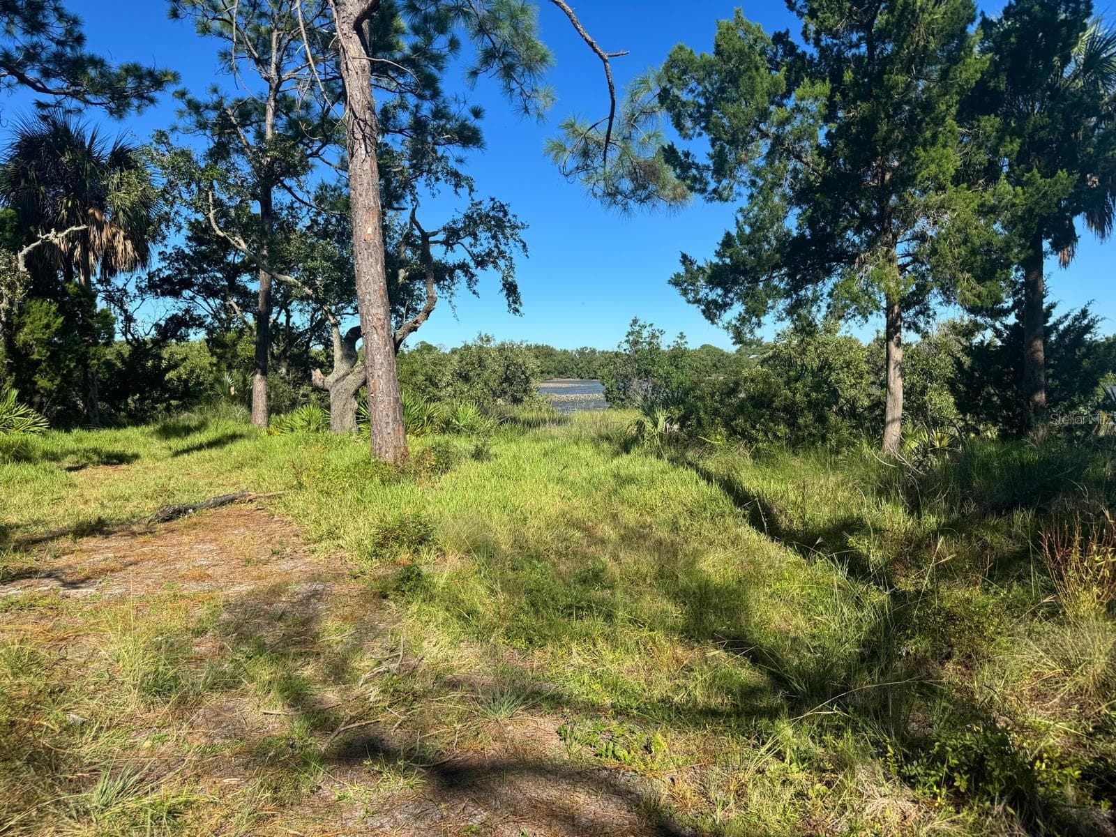 Land at SW 133RD ST, CEDAR KEY, photo 8 of 10