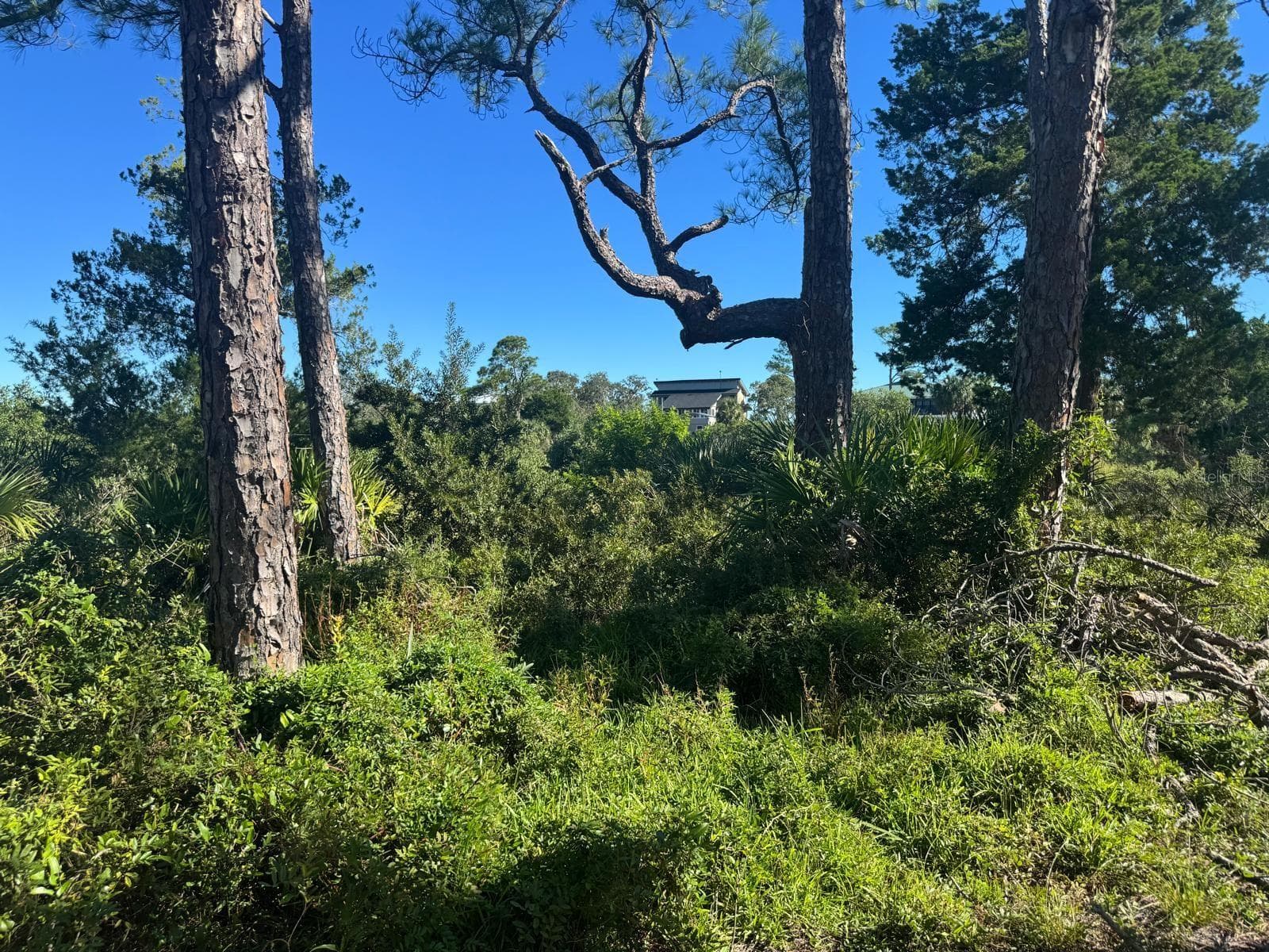 Land at SW 133RD ST, CEDAR KEY, photo 9 of 10