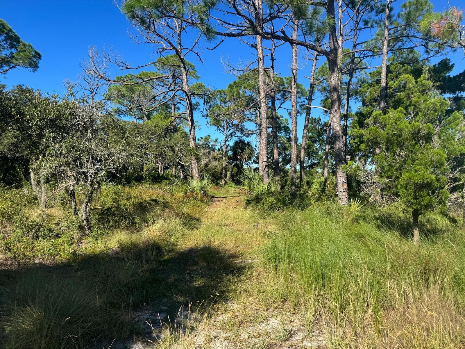 Land at SW 133RD ST, CEDAR KEY, photo 10 of 10