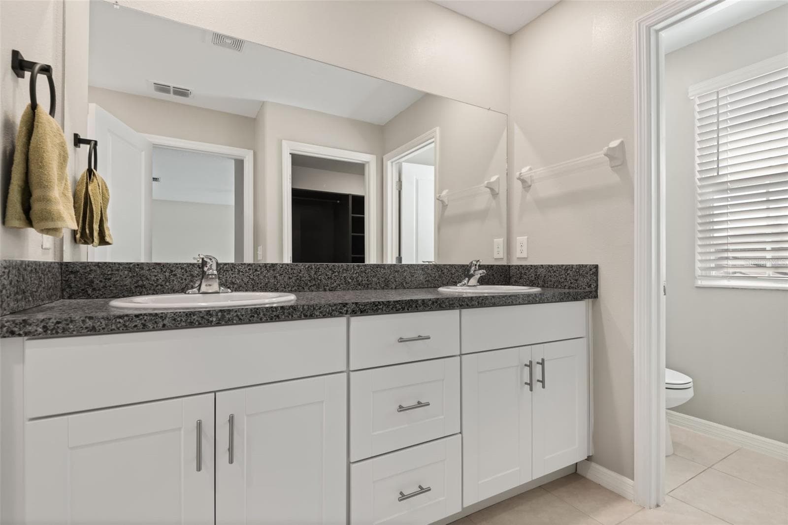 Single Family Residence at 509 ROYAL EMPRESS DR, RUSKIN, photo 11 of 24