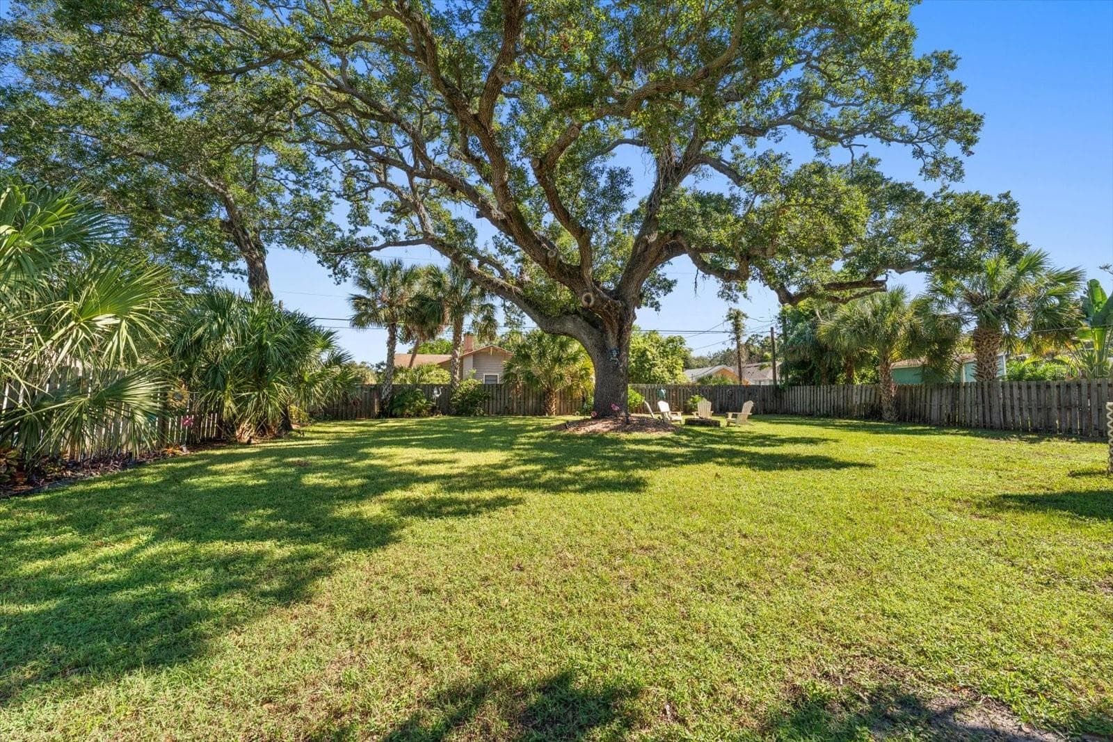 Room for a pool? - 2534 BAYSIDE DR S, ST PETERSBURG
