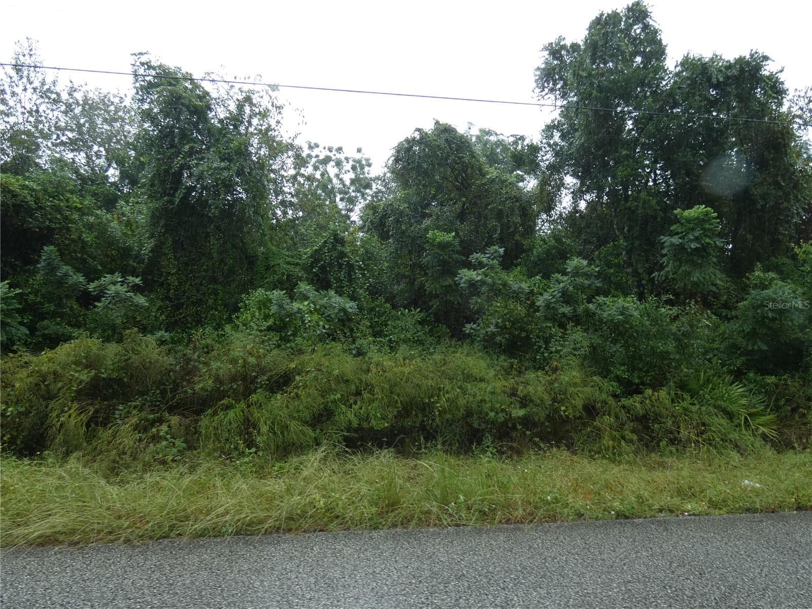 Land at 0 MARLEY AVE, NEW PORT RICHEY, photo 2 of 2