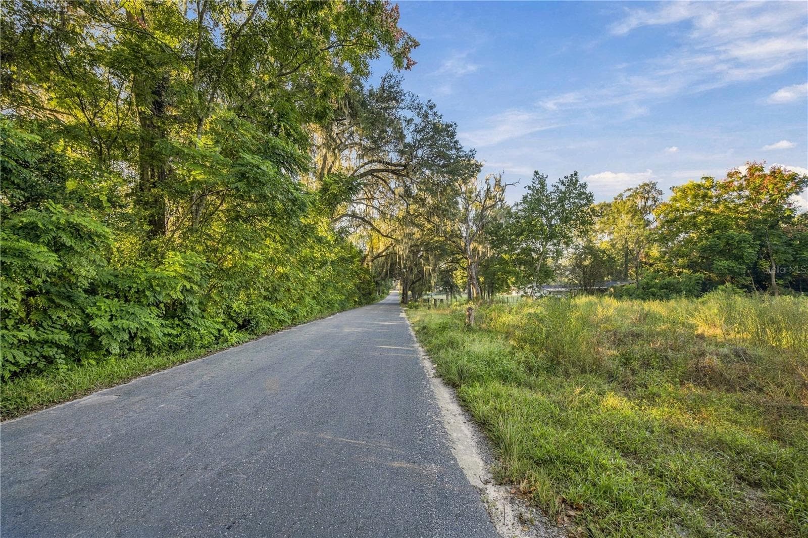 Land at 16612 SE 25TH AVE, SUMMERFIELD, photo 7 of 24