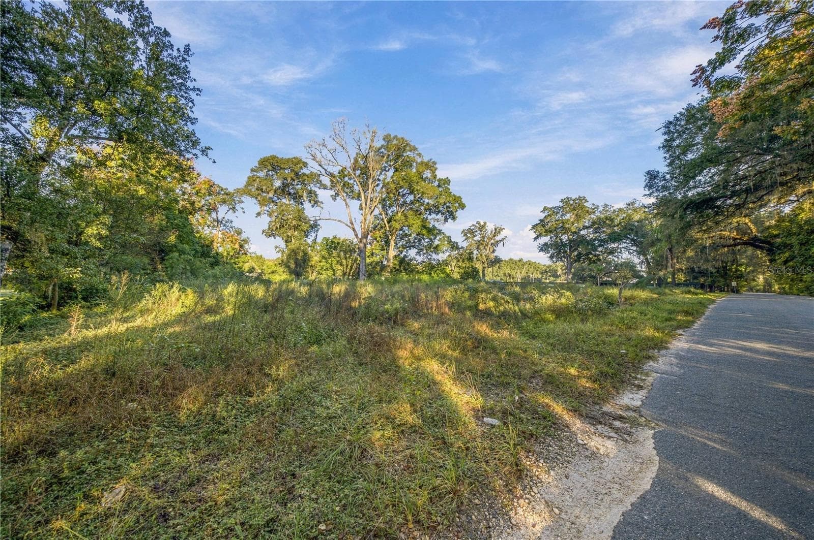 Land at 16612 SE 25TH AVE, SUMMERFIELD, photo 10 of 24