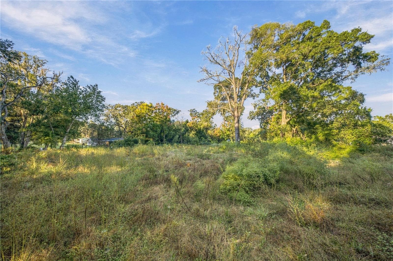 Land at 16612 SE 25TH AVE, SUMMERFIELD, photo 11 of 24