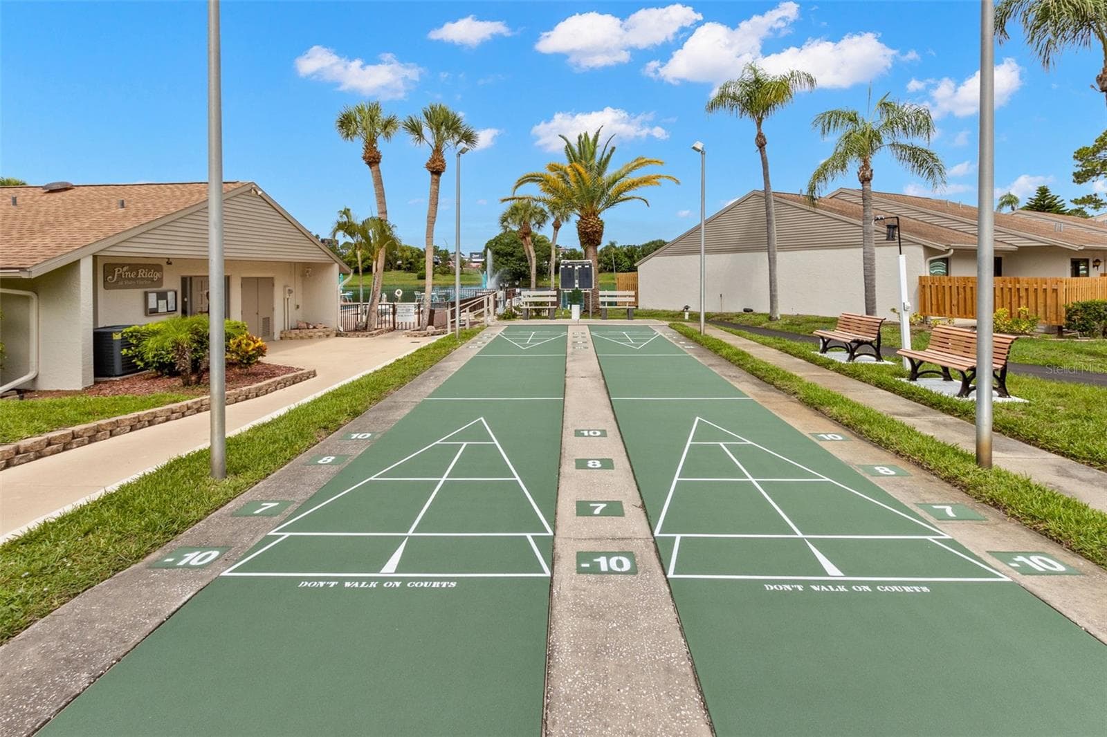 Shuffle board - 1708 PINE RIDGE WAY E #B2, PALM HARBOR