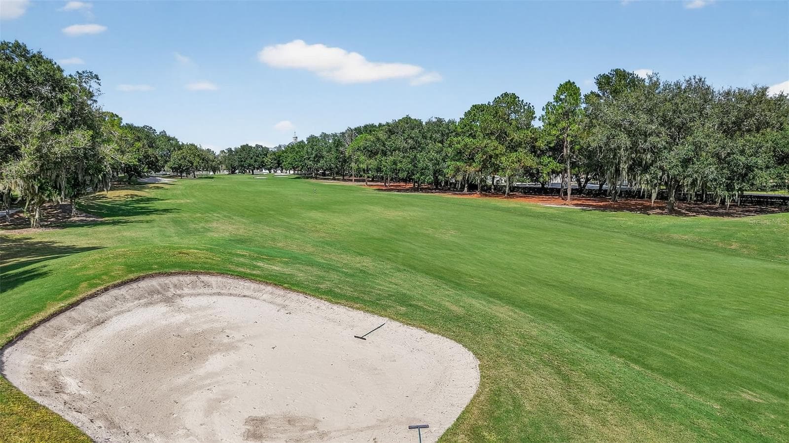 Incredible Golf Front Views! - 1201 BARCELONA DR, THE VILLAGES