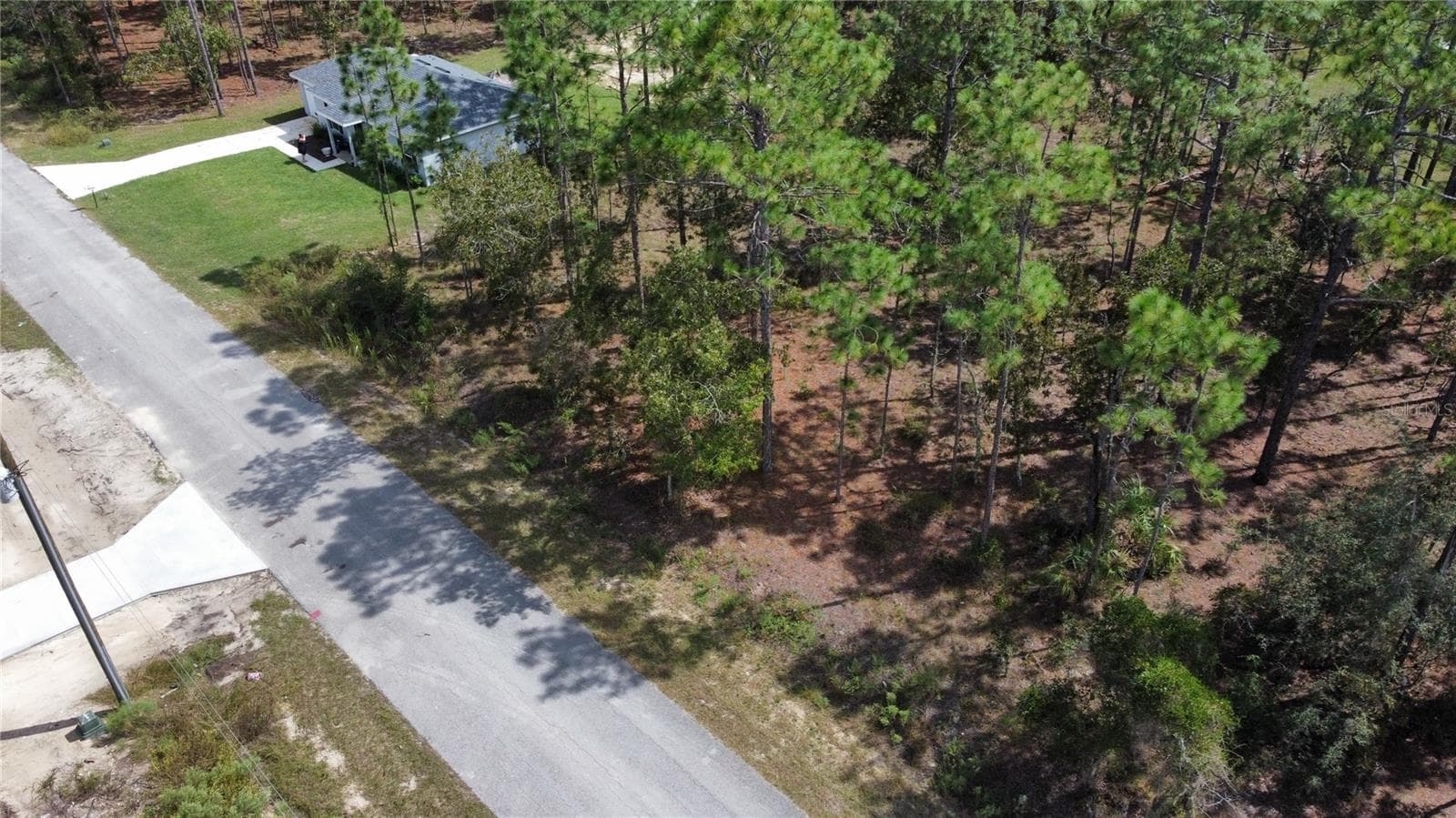 Land at TBD NW TAMARIND LN, DUNNELLON, photo 4 of 13