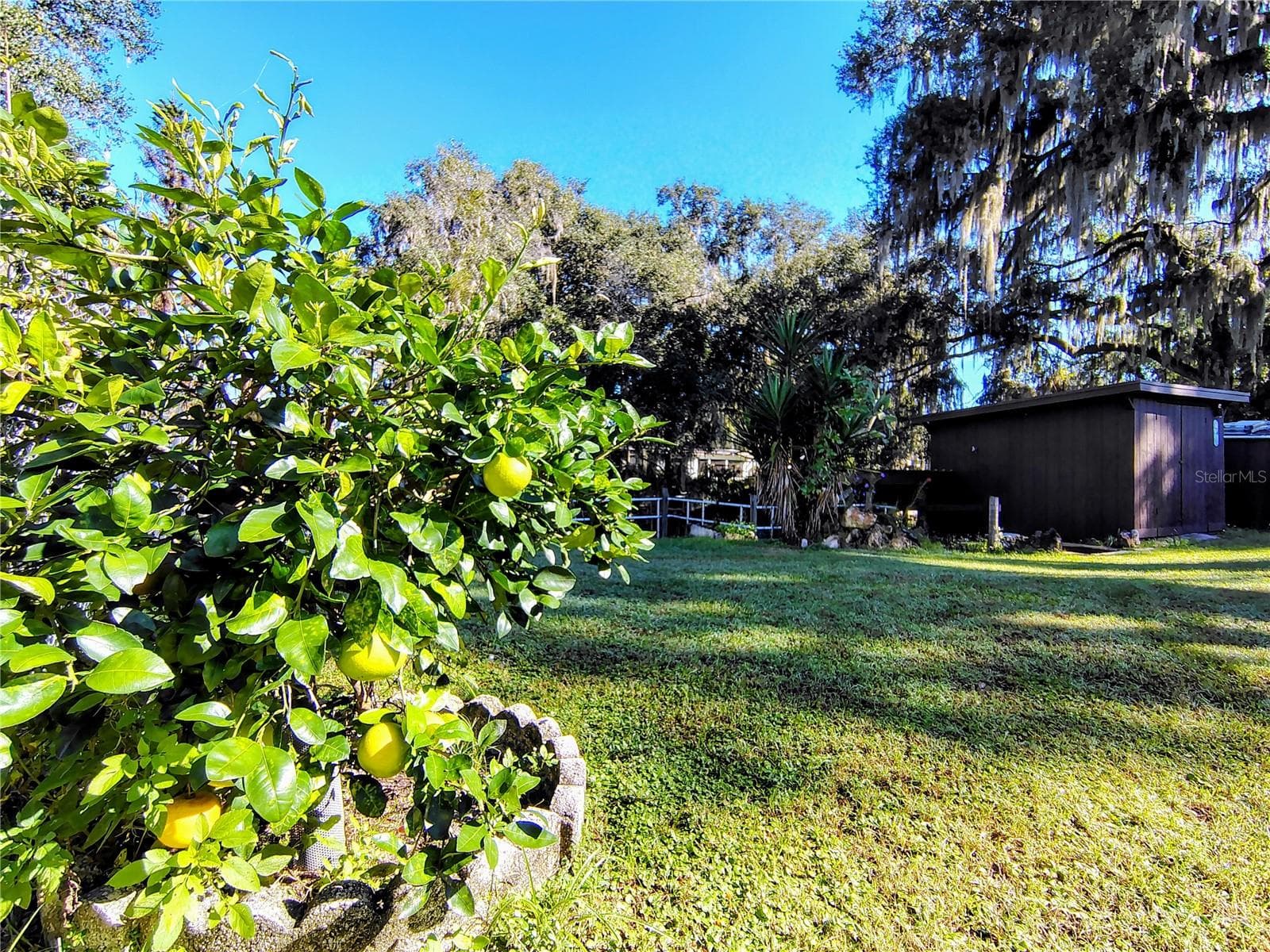 Single Family Residence at 766 CR 485A, LAKE PANASOFFKEE, photo 55 of 61