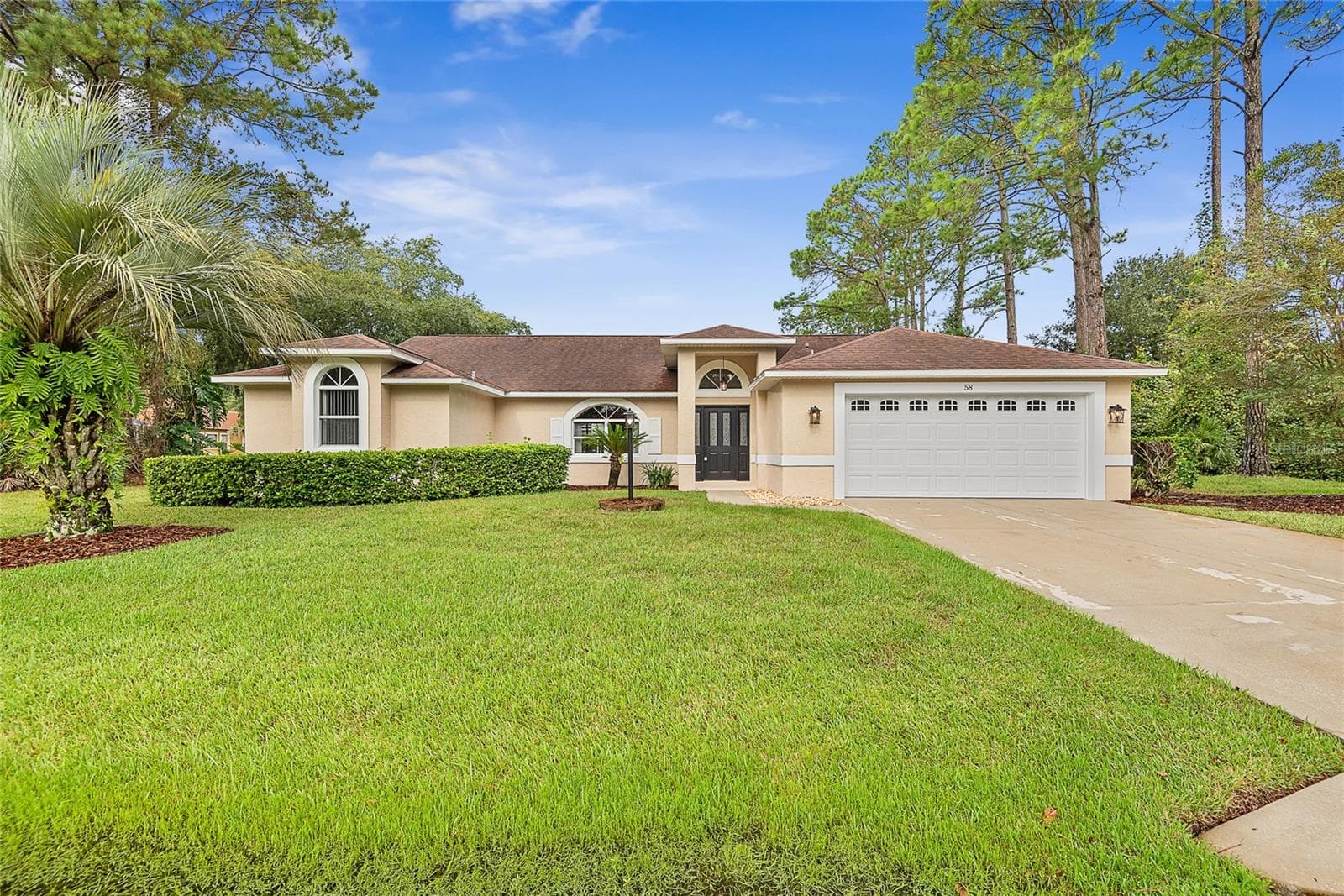 58 EVANS DR