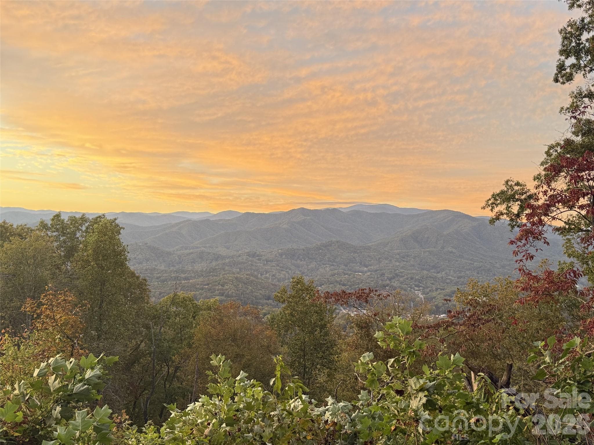 pic taken standing on homesite - 00 Breedlove Road, Bryson City