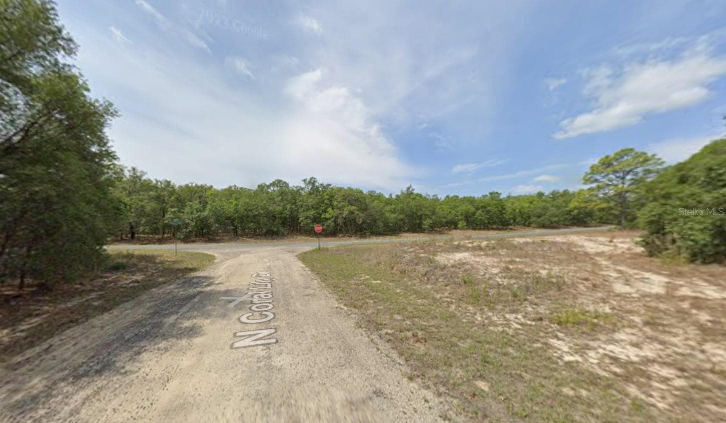 Land at 6371 N CORAL LILY DR, CITRUS SPRINGS, photo 3 of 5