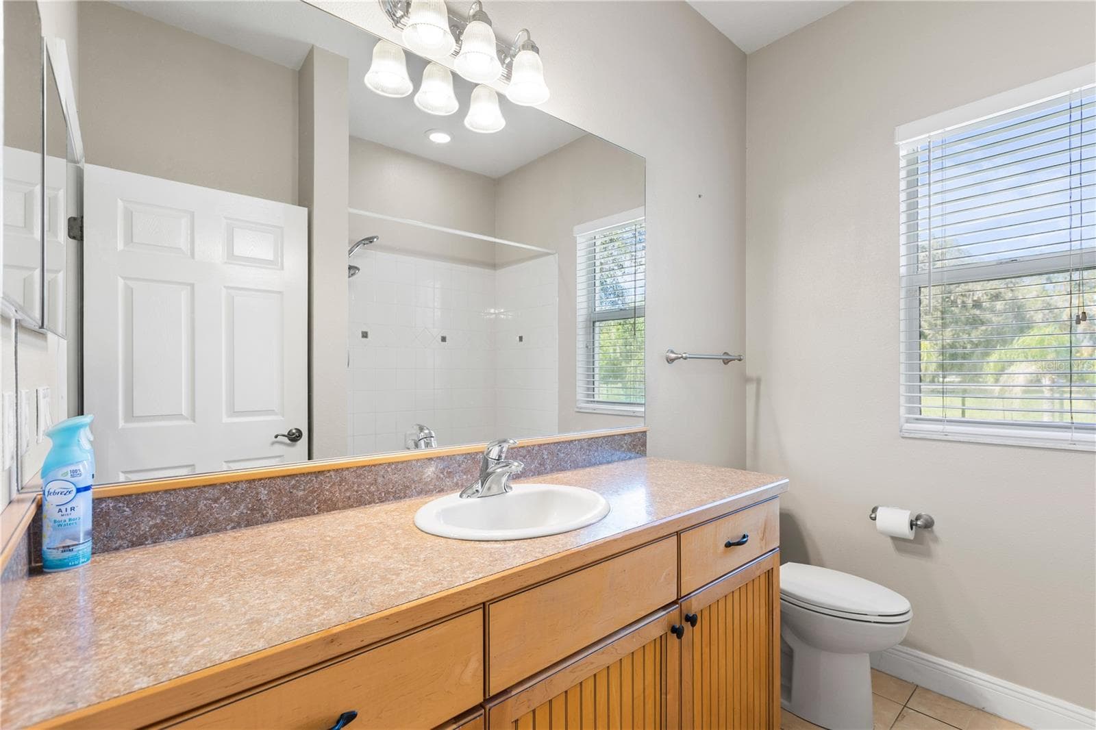 Single Family Residence at 6514 LAKE IRENE DR, LAND O LAKES, photo 33 of 76
