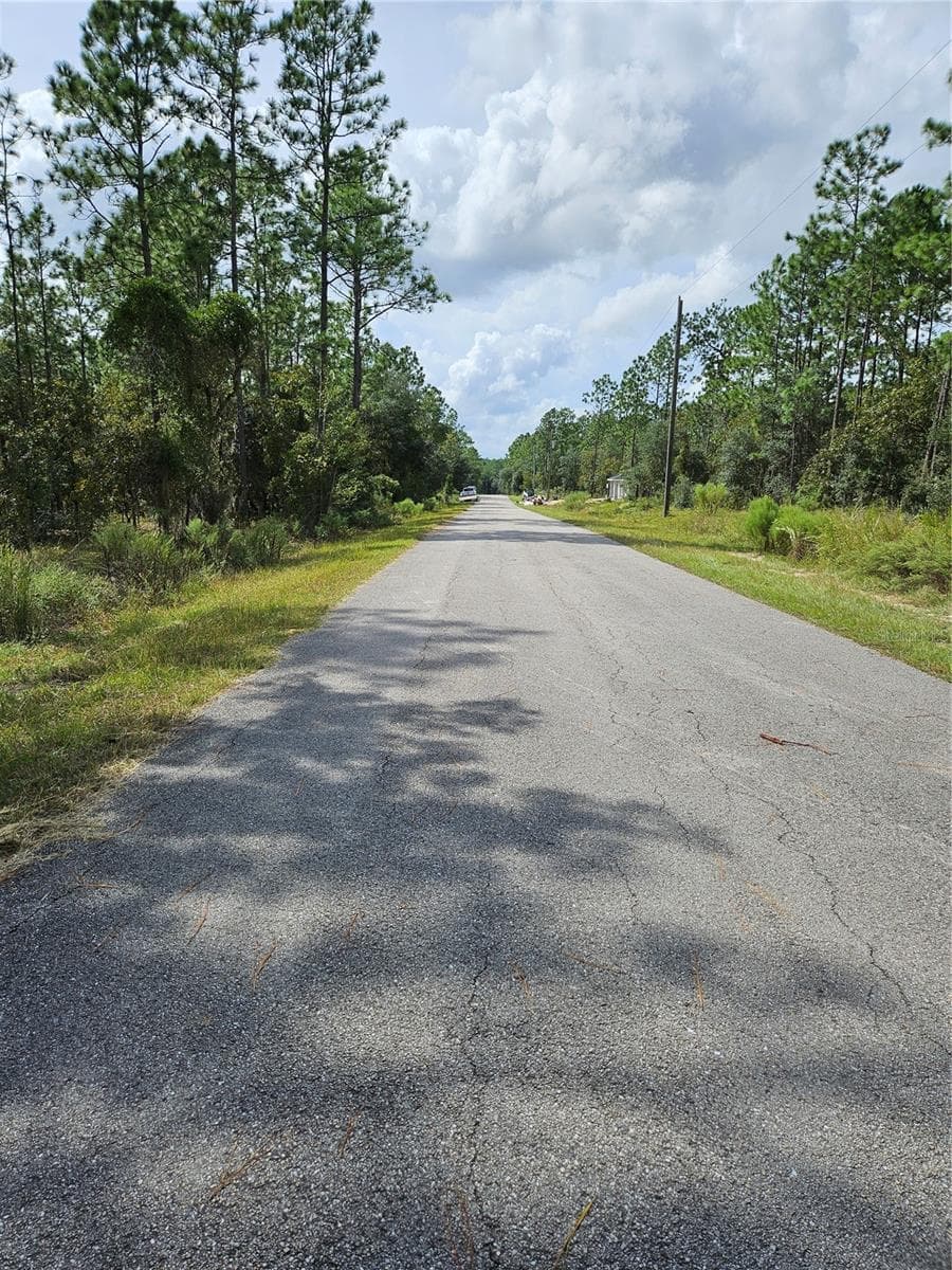 Land at TBD NW TAMARIND LN, DUNNELLON, photo 3 of 13