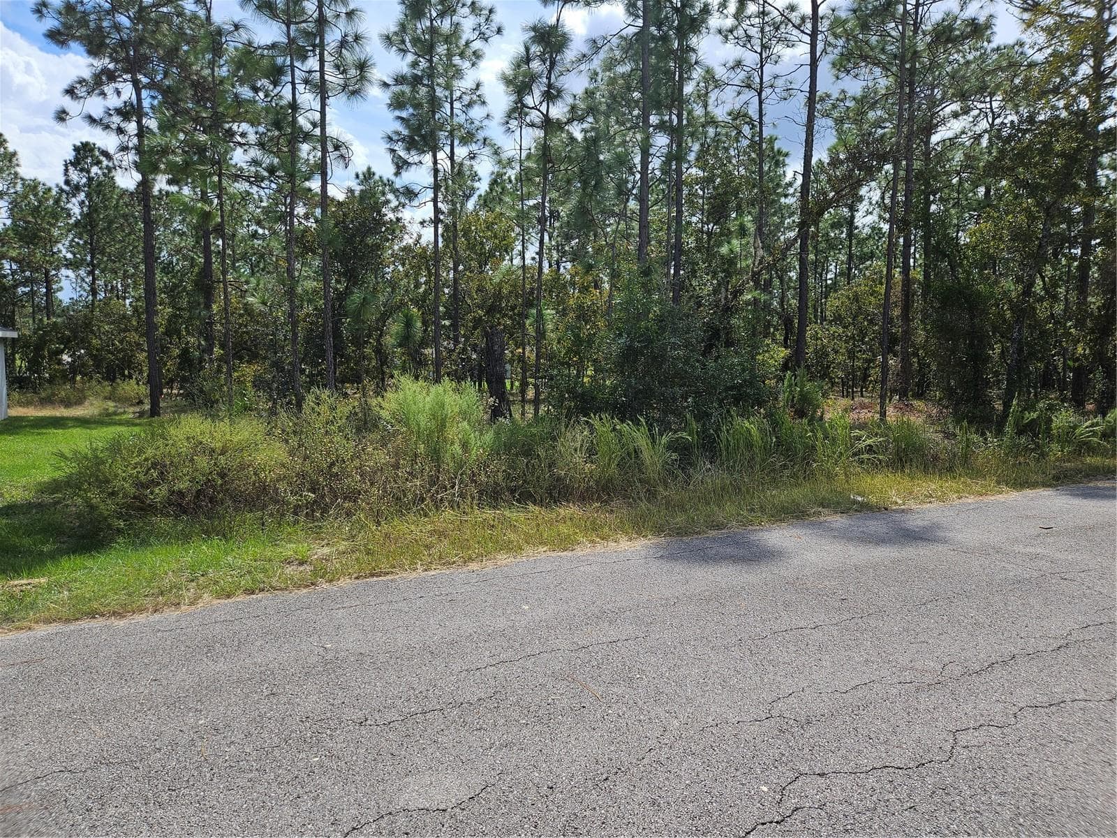 Land at TBD NW TAMARIND LN, DUNNELLON, photo 8 of 13