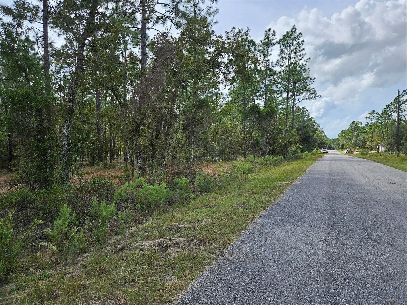 Land at TBD NW TAMARIND LN, DUNNELLON, photo 9 of 13