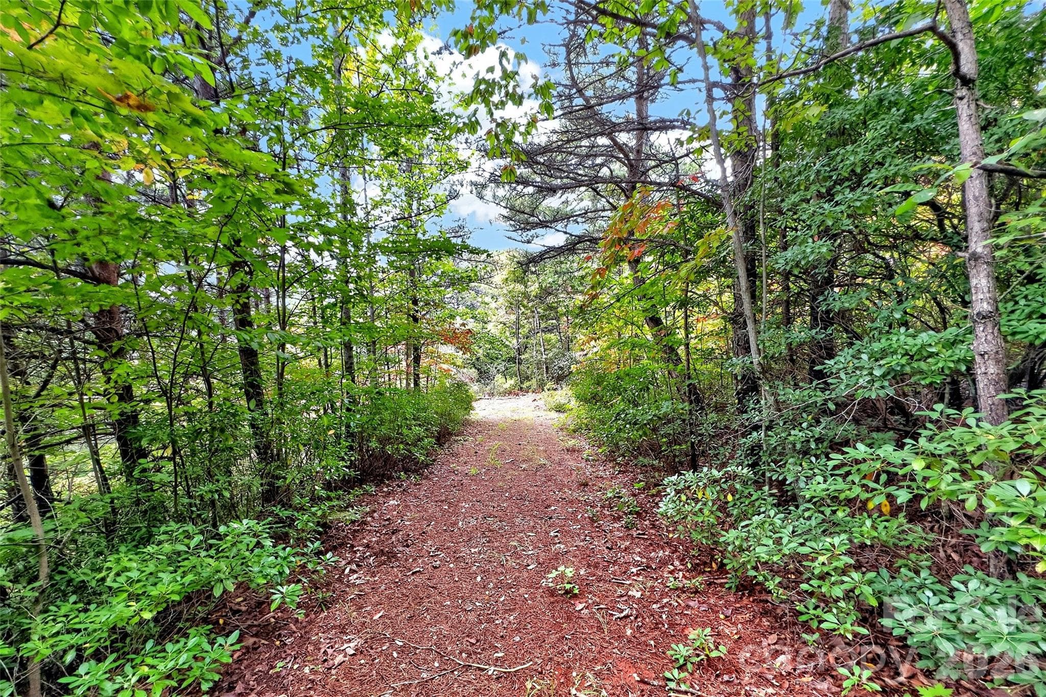 Lot at 368 Sassafras Drive, Old Fort, photo 4 of 83