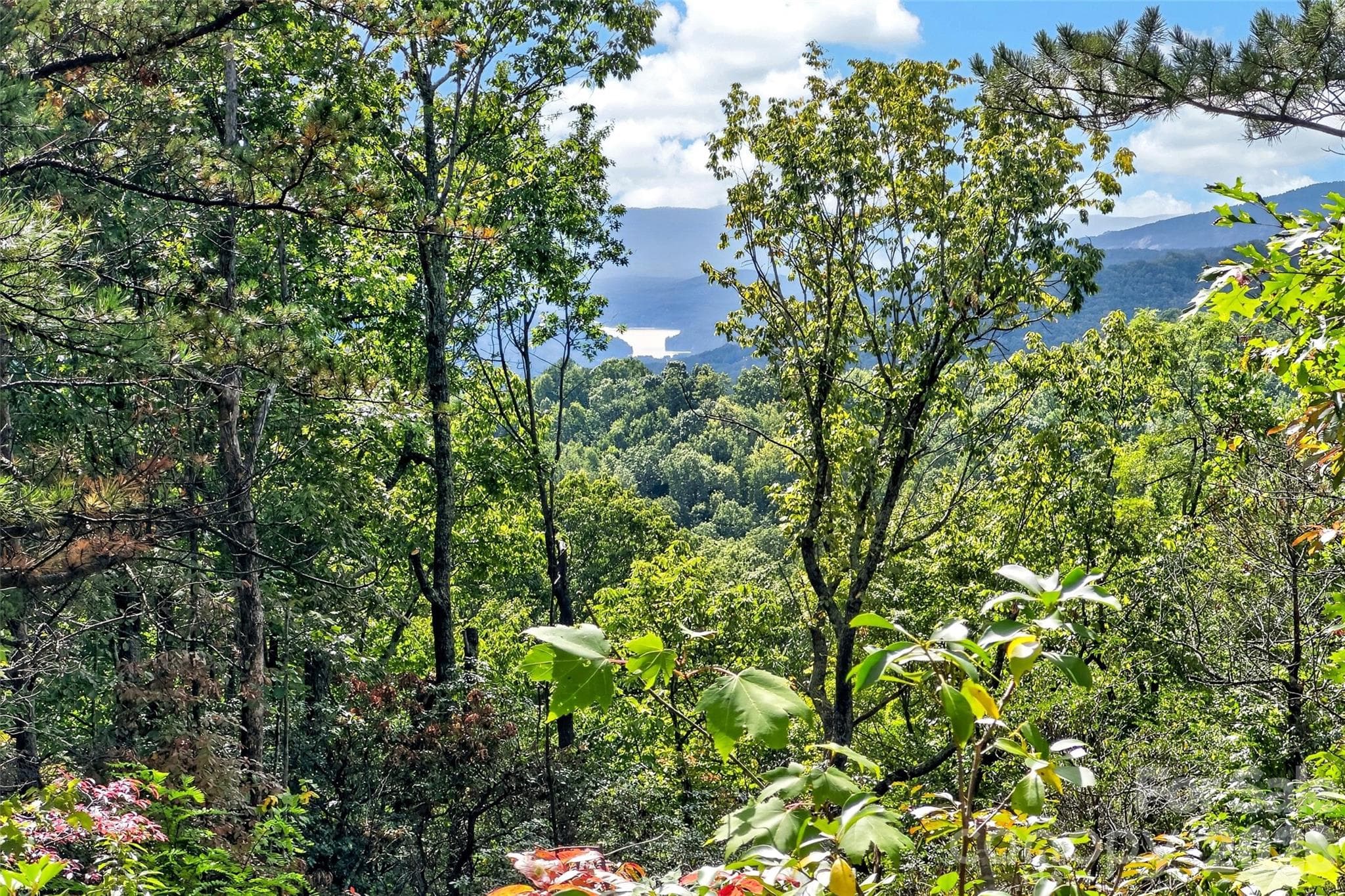 Lot at 368 Sassafras Drive, Old Fort, photo 6 of 83