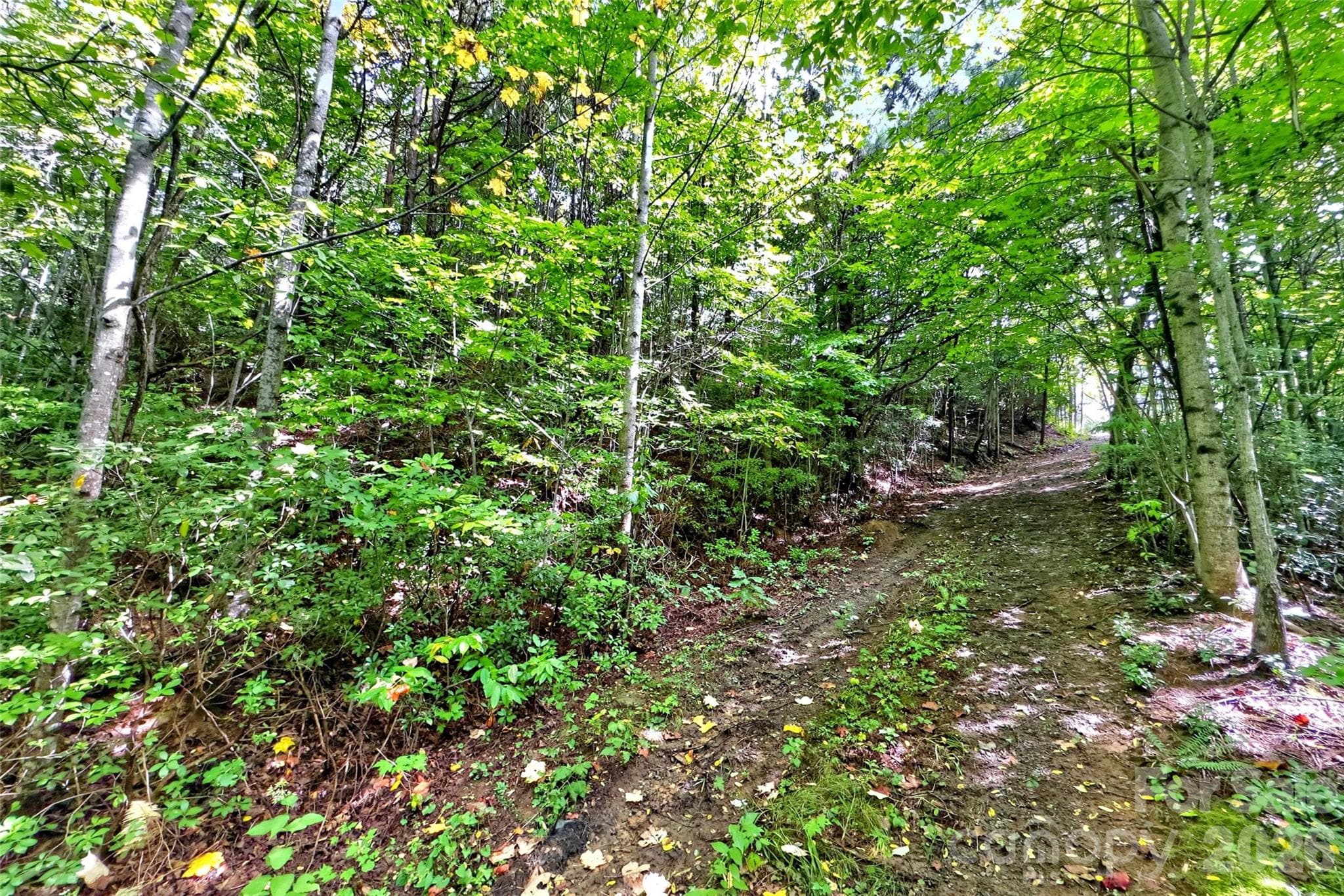 Lot at 368 Sassafras Drive, Old Fort, photo 60 of 83