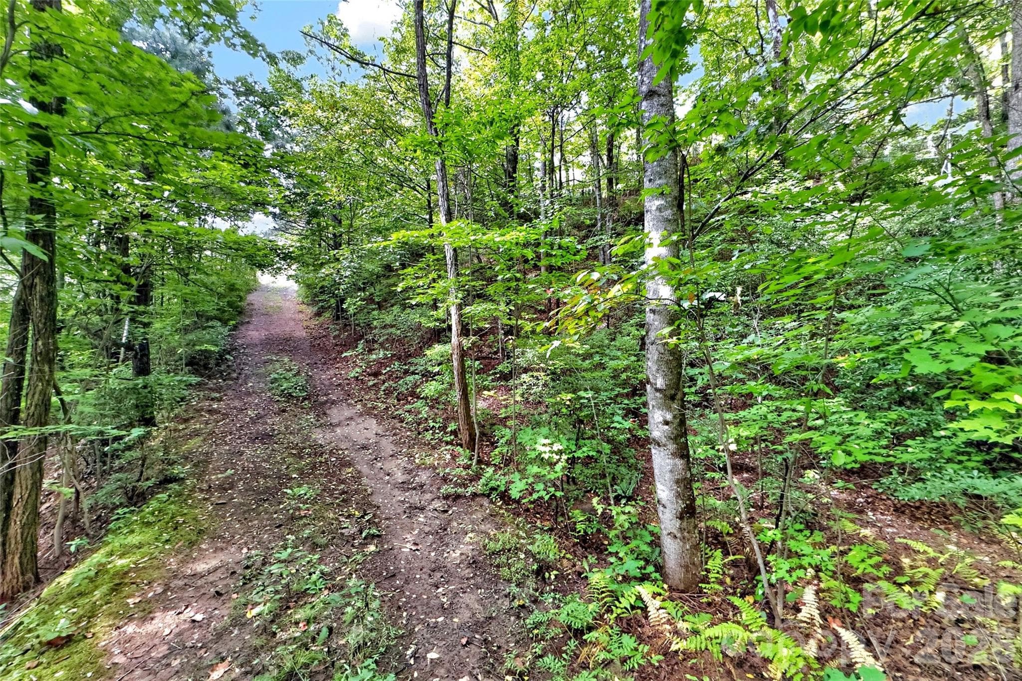 Lot at 368 Sassafras Drive, Old Fort, photo 62 of 83