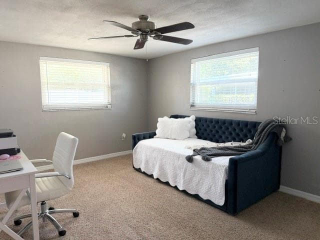 Guest Bedroom - 7910 ILEX DR, PORT RICHEY