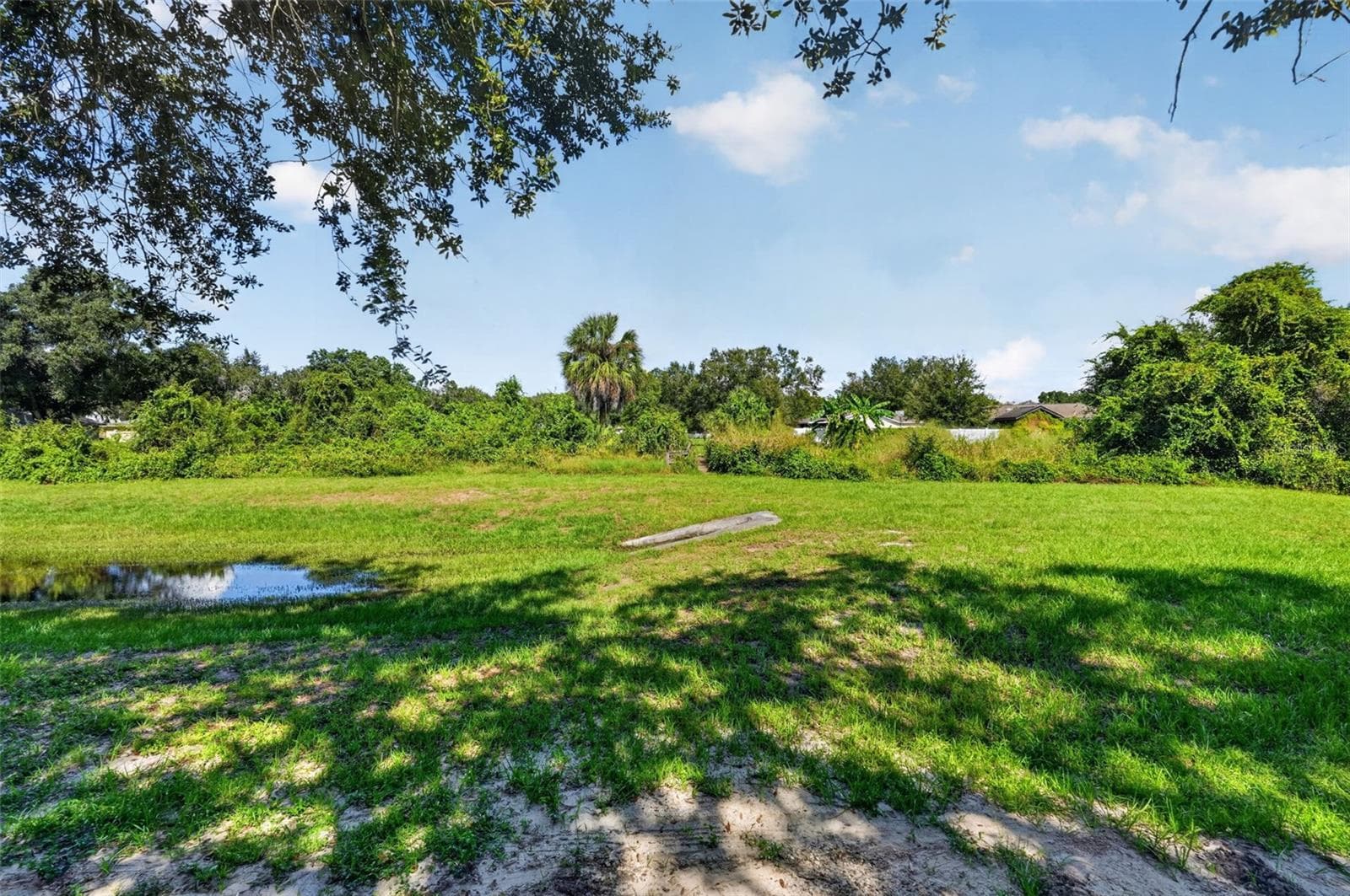 View from backyard - 1210 CASA BONITA AVE, RUSKIN