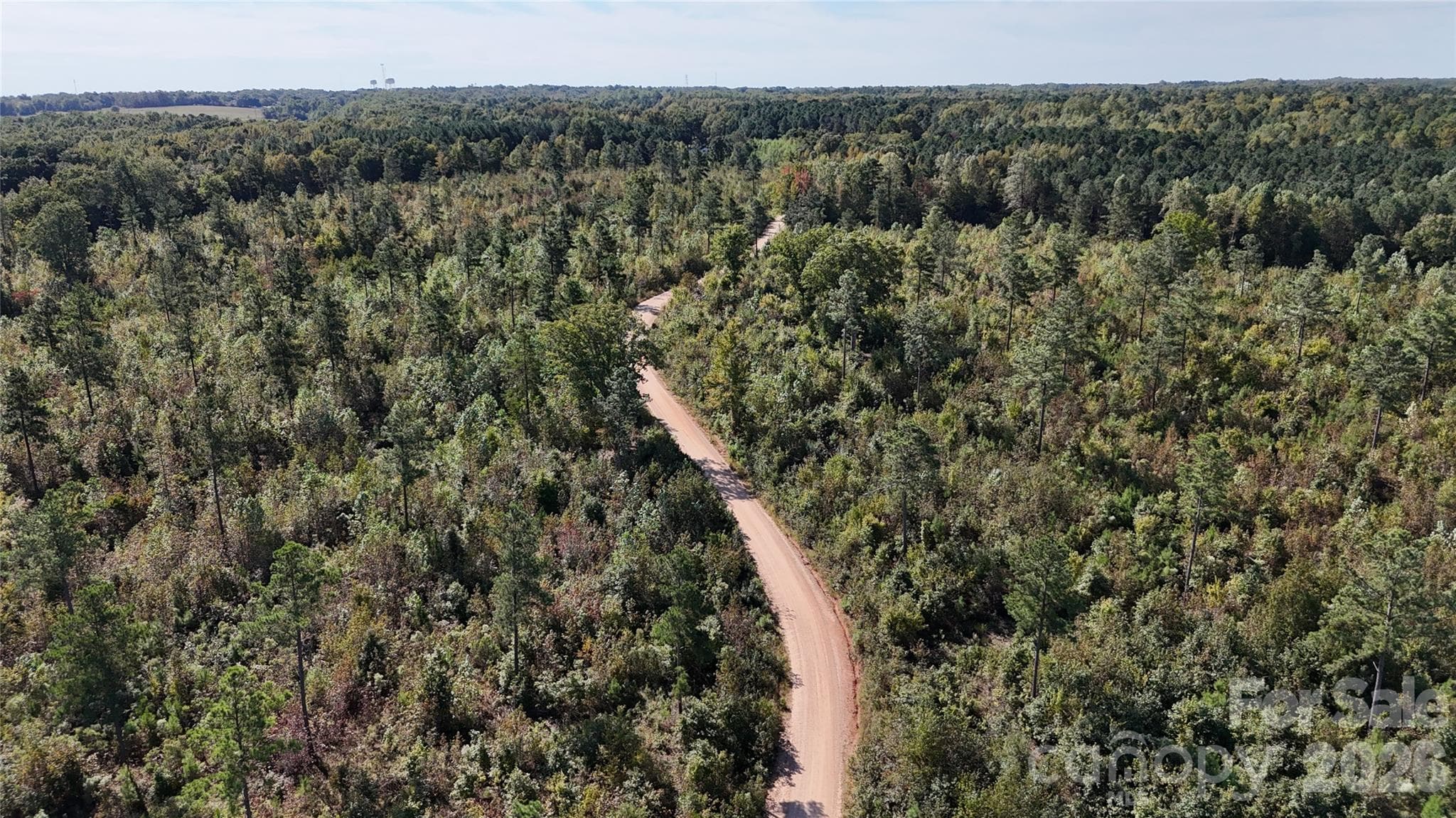 Lot at Lot 25 Farris Cato Road, Pageland, photo 8 of 54