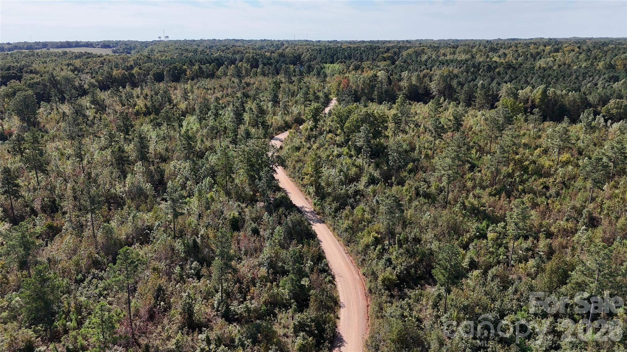 Lot at Lot 25 Farris Cato Road, Pageland, photo 10 of 54