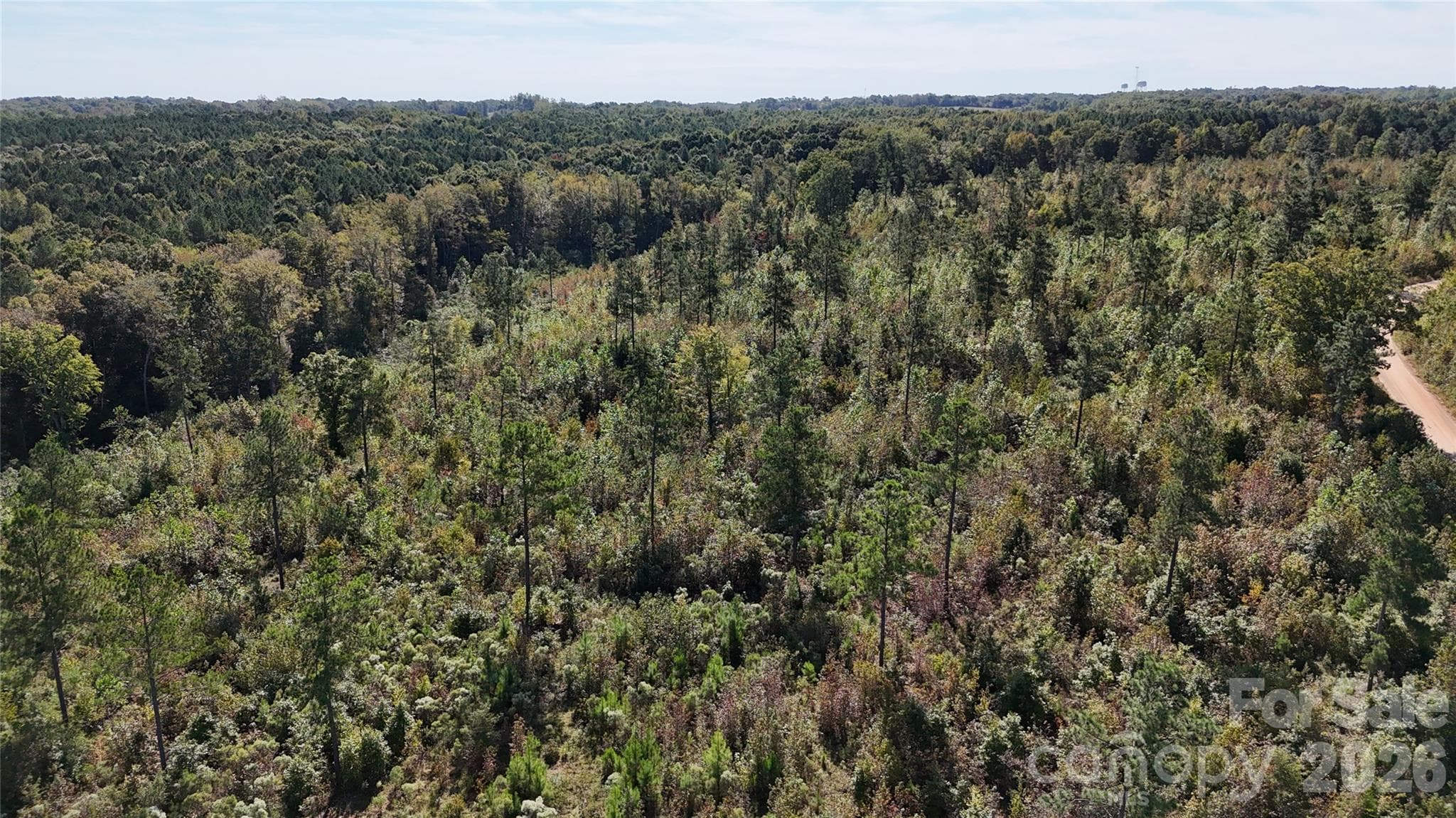 Lot at Lot 25 Farris Cato Road, Pageland, photo 14 of 54
