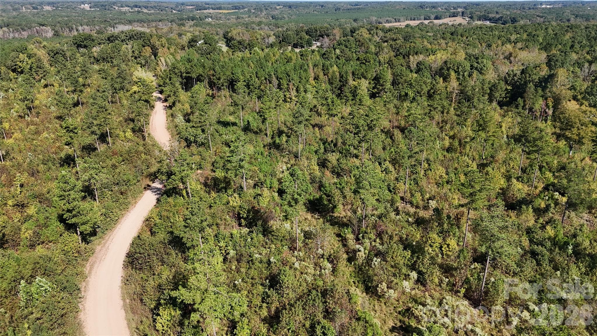 Lot at Lot 25 Farris Cato Road, Pageland, photo 20 of 54