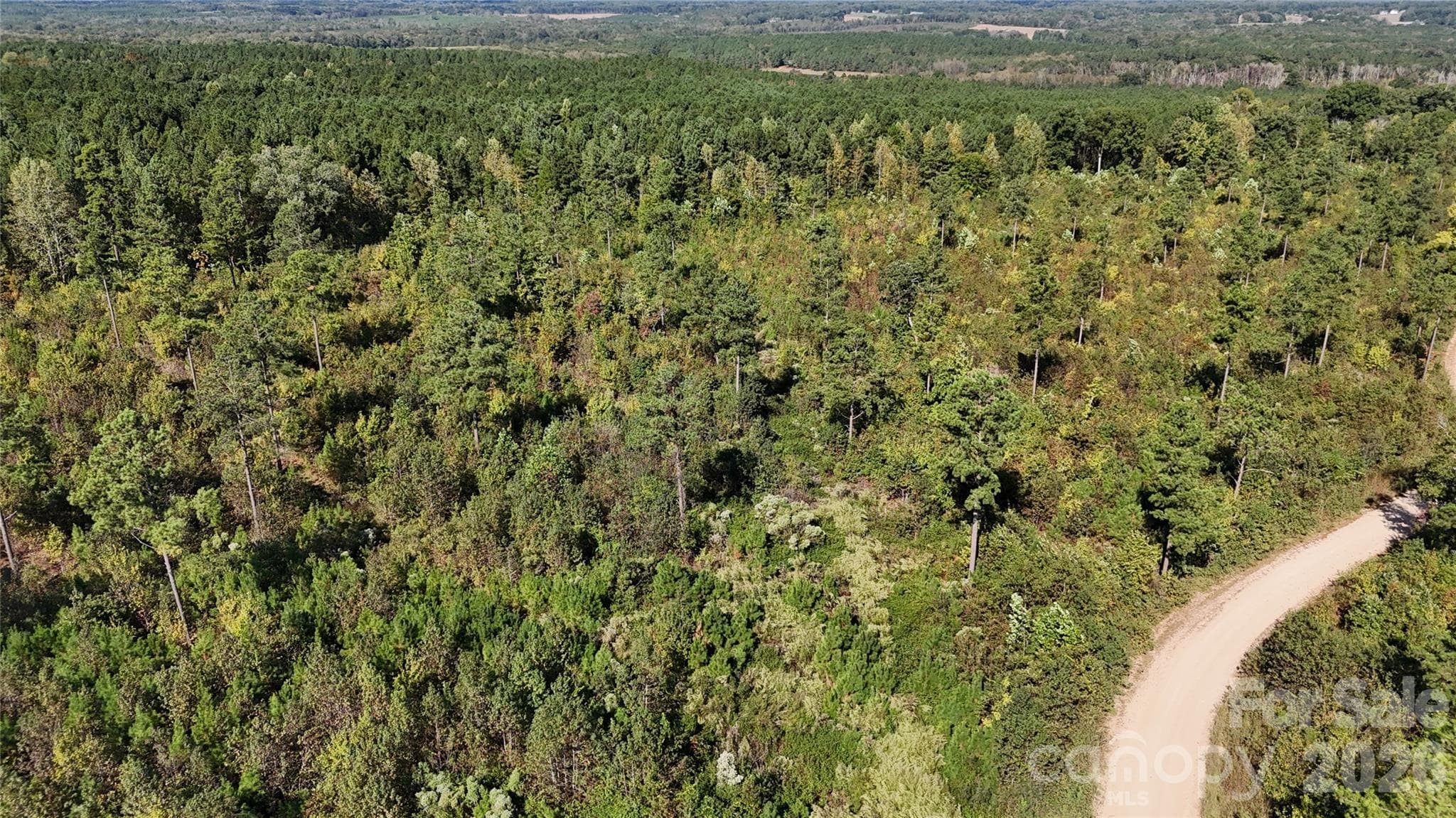 Lot at Lot 25 Farris Cato Road, Pageland, photo 24 of 54