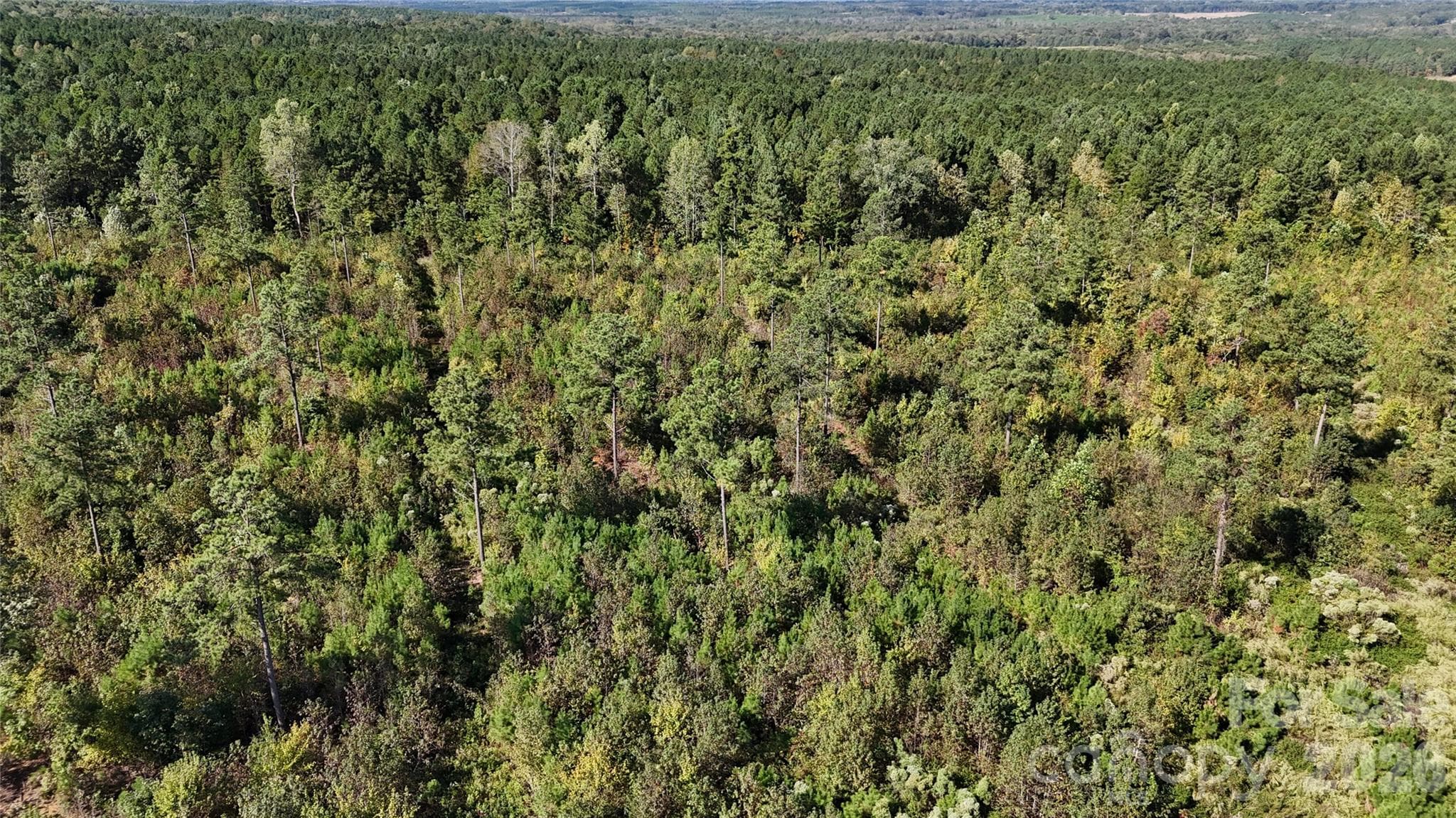 Lot at Lot 25 Farris Cato Road, Pageland, photo 26 of 54