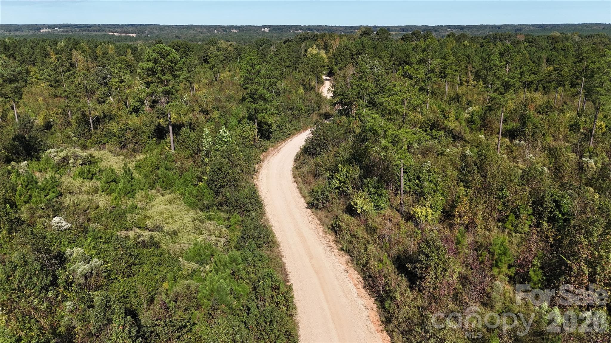 Lot at Lot 25 Farris Cato Road, Pageland, photo 28 of 54