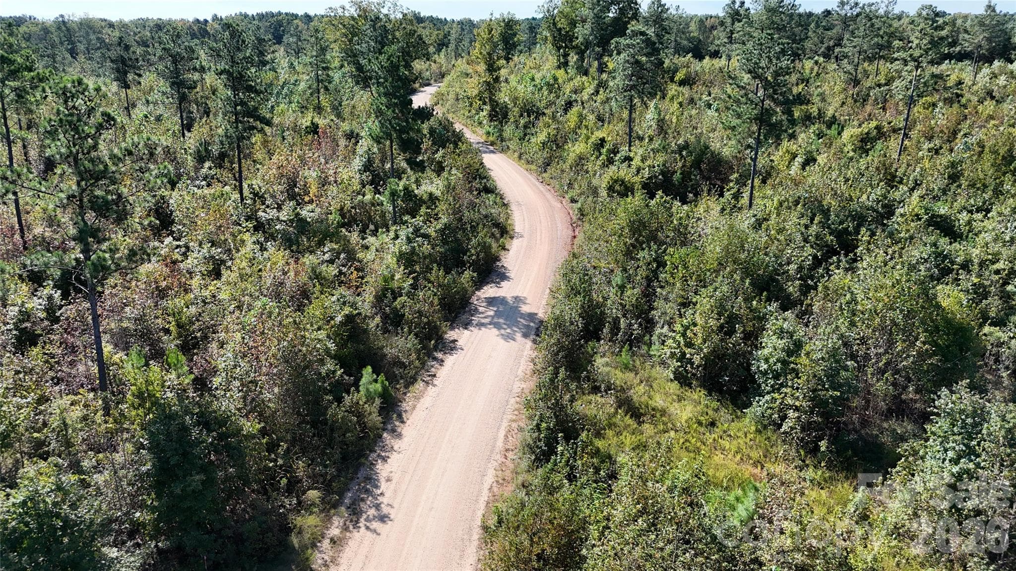 Lot at Lot 25 Farris Cato Road, Pageland, photo 30 of 54