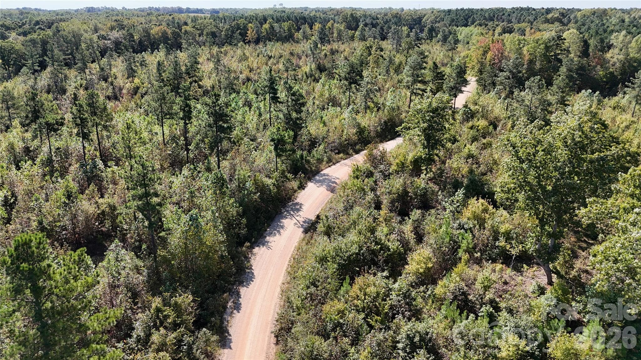 Lot at Lot 25 Farris Cato Road, Pageland, photo 34 of 54