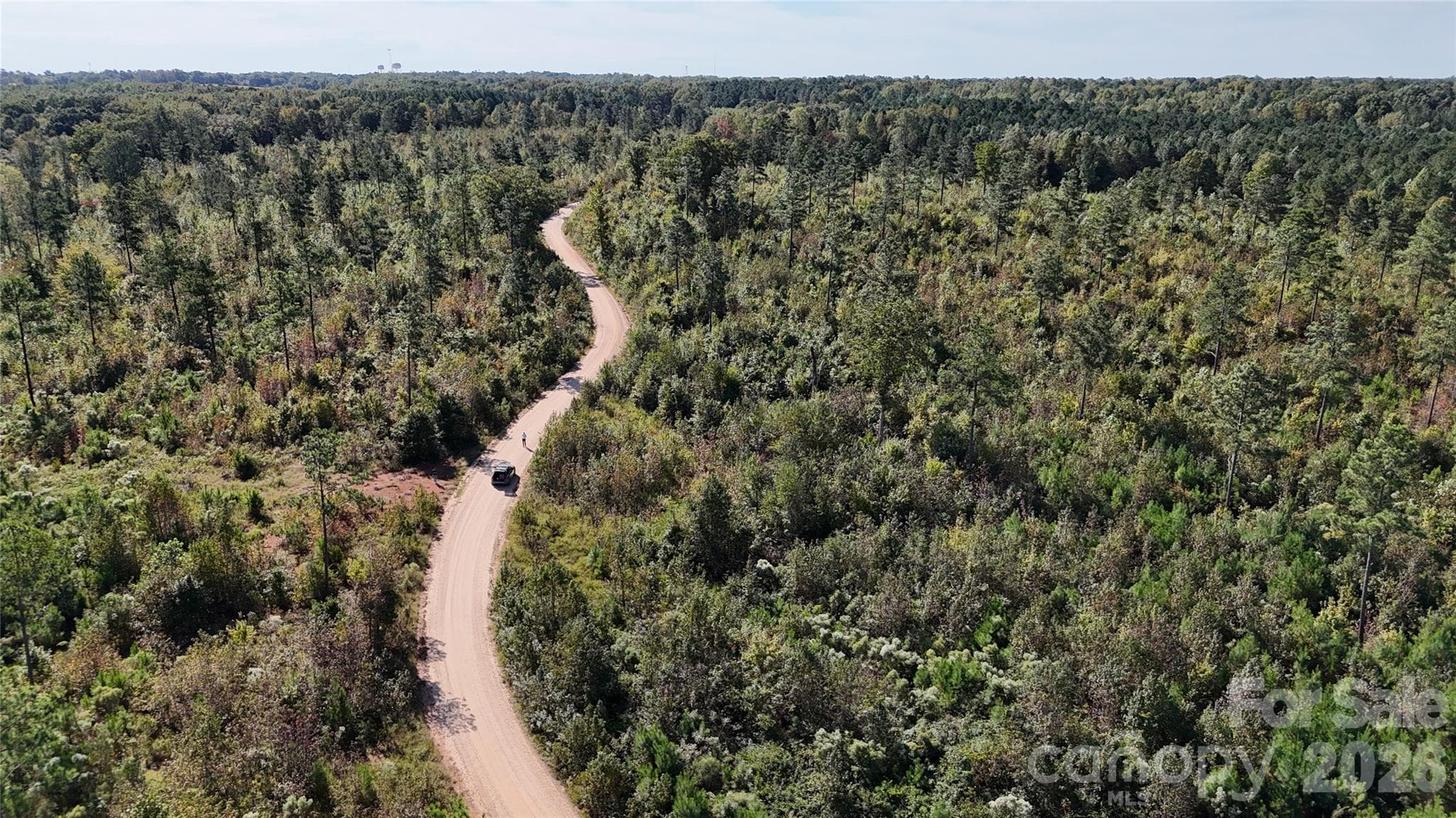 Lot at Lot 25 Farris Cato Road, Pageland, photo 46 of 54