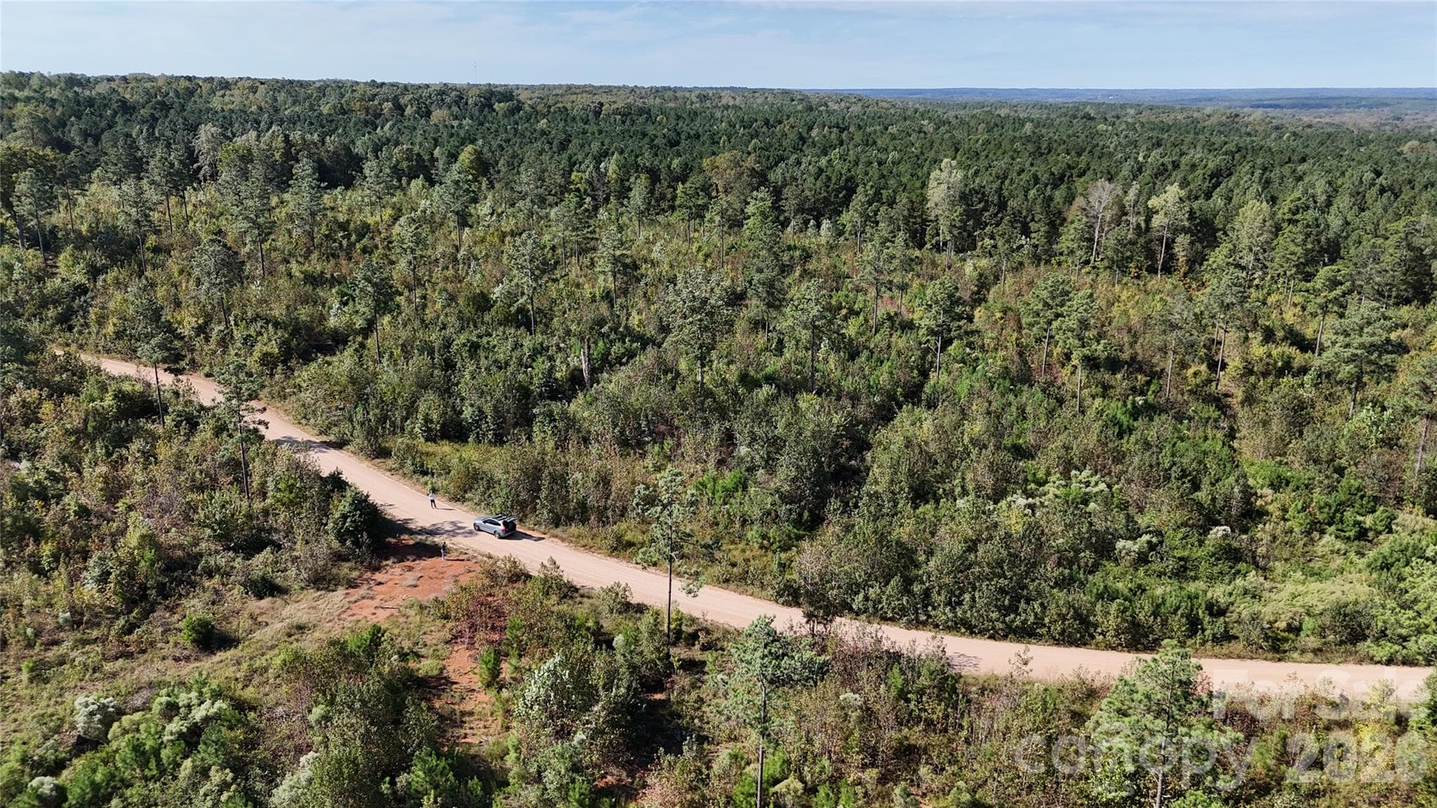 Lot at Lot 25 Farris Cato Road, Pageland, photo 50 of 54