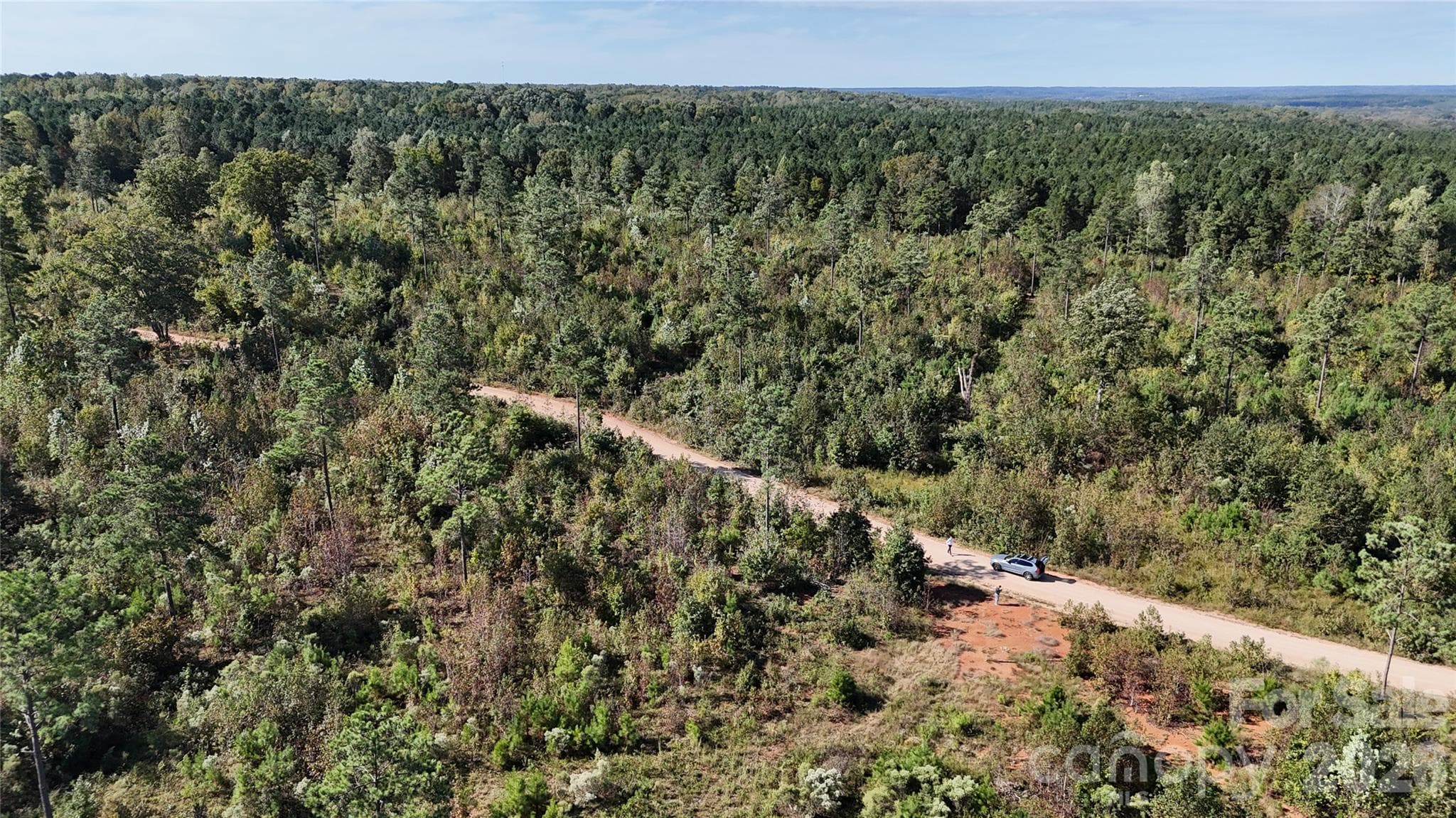Lot at Lot 25 Farris Cato Road, Pageland, photo 52 of 54