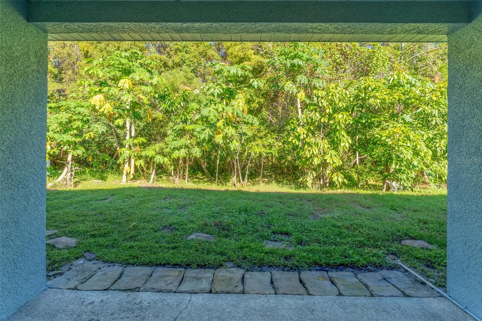 View of conservation lot from covered patio - 1127 ROLLING STONE RUN, ODESSA