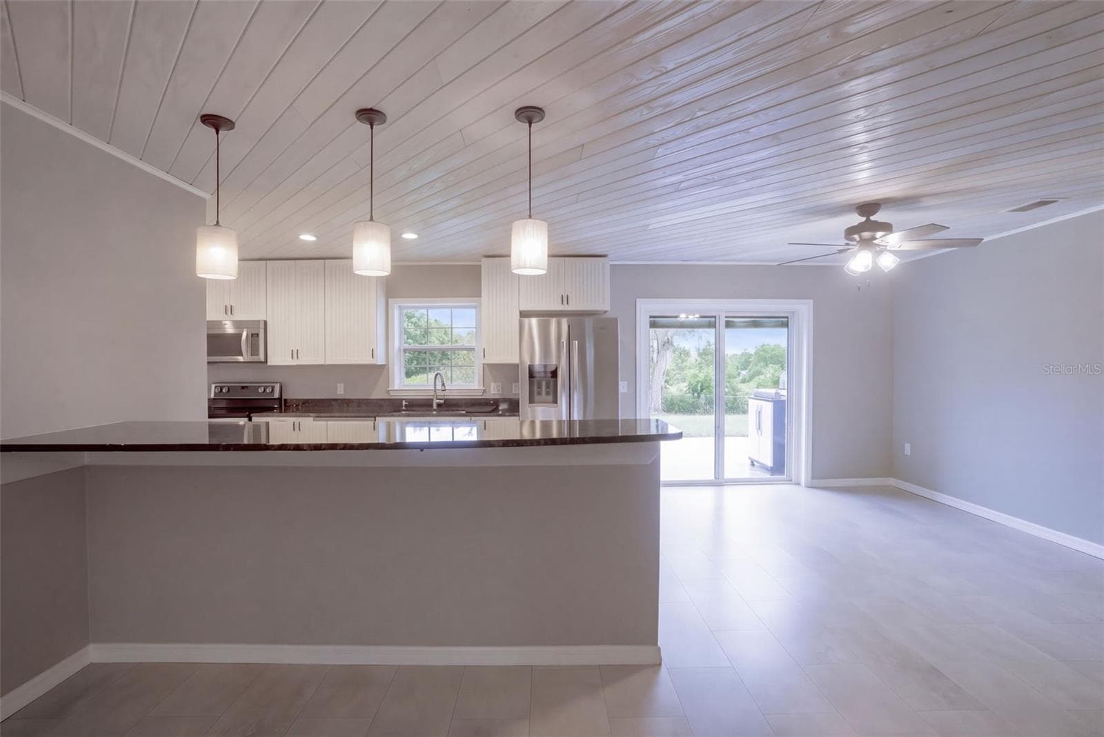 Single Family Residence at 603 N HAWLEY ST, EUSTIS, photo 8 of 48