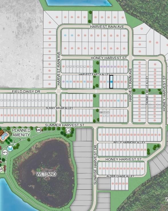 14743 Field Daisy Drive Site Map - 14743 FIELD DAISY DR, WINTER GARDEN