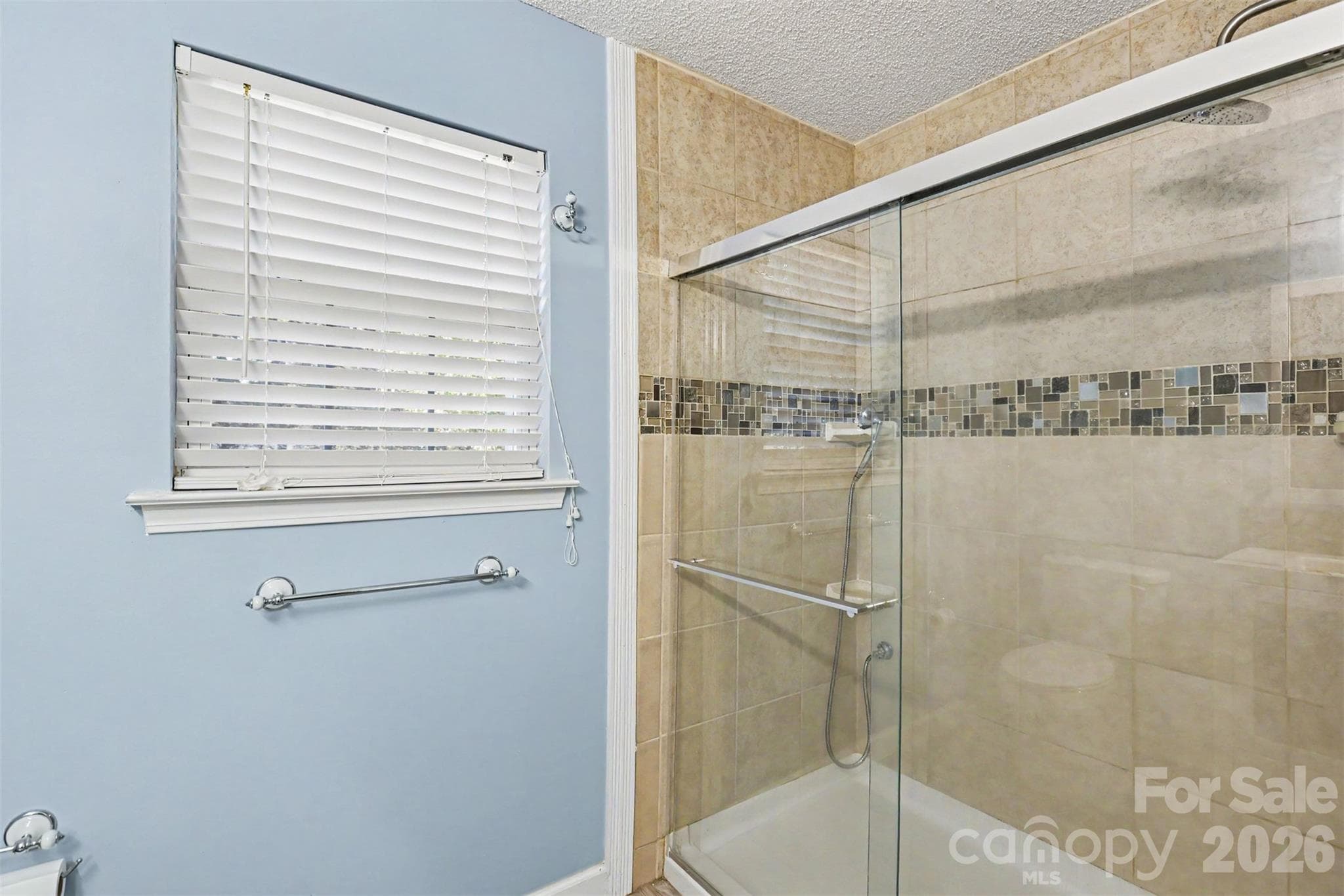 Single Family Residence at 10008 Wild Dogwood Court, Charlotte, photo 13 of 20