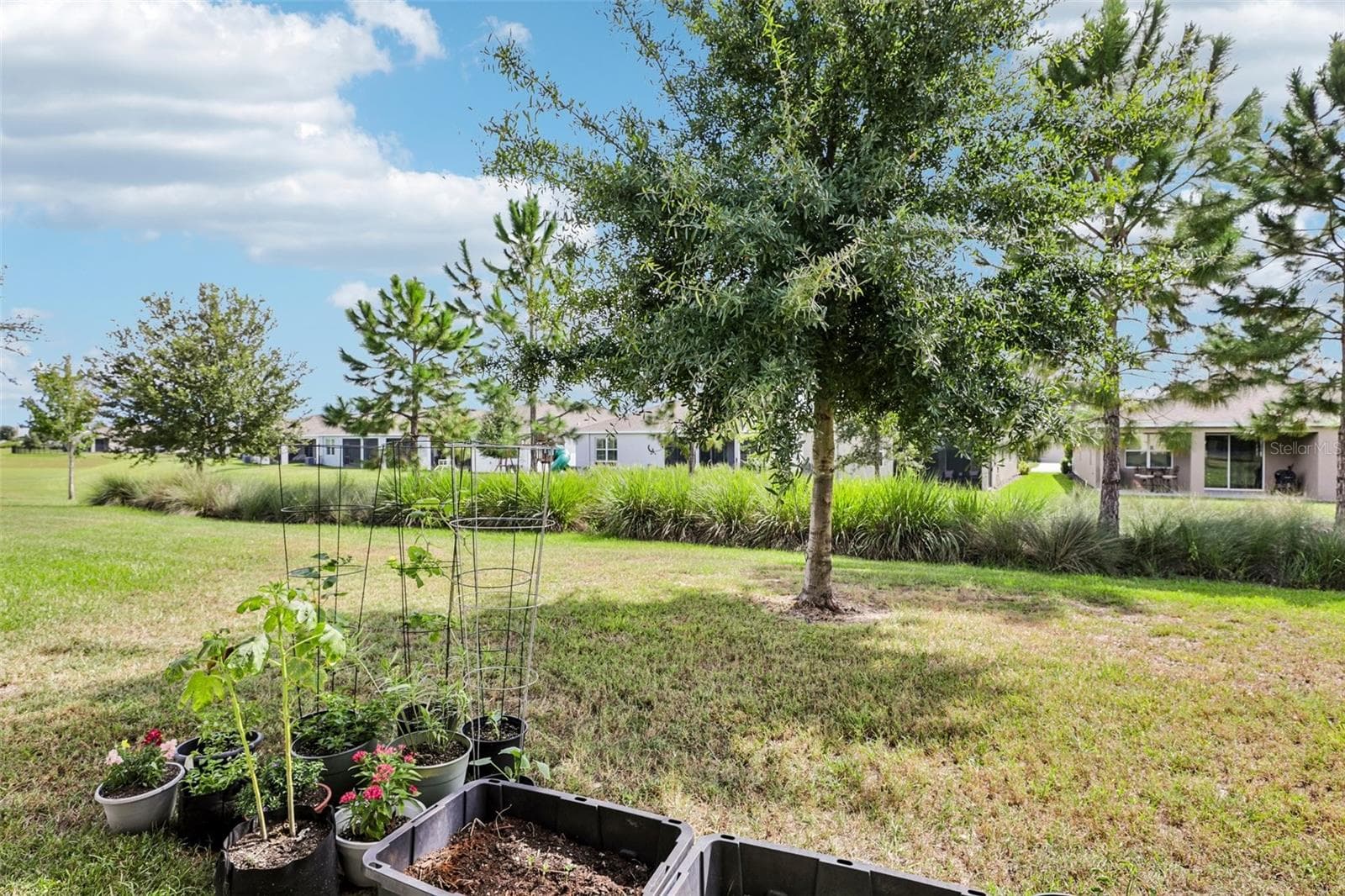 Backyard view - 5255 SUNSHINE DR, WILDWOOD