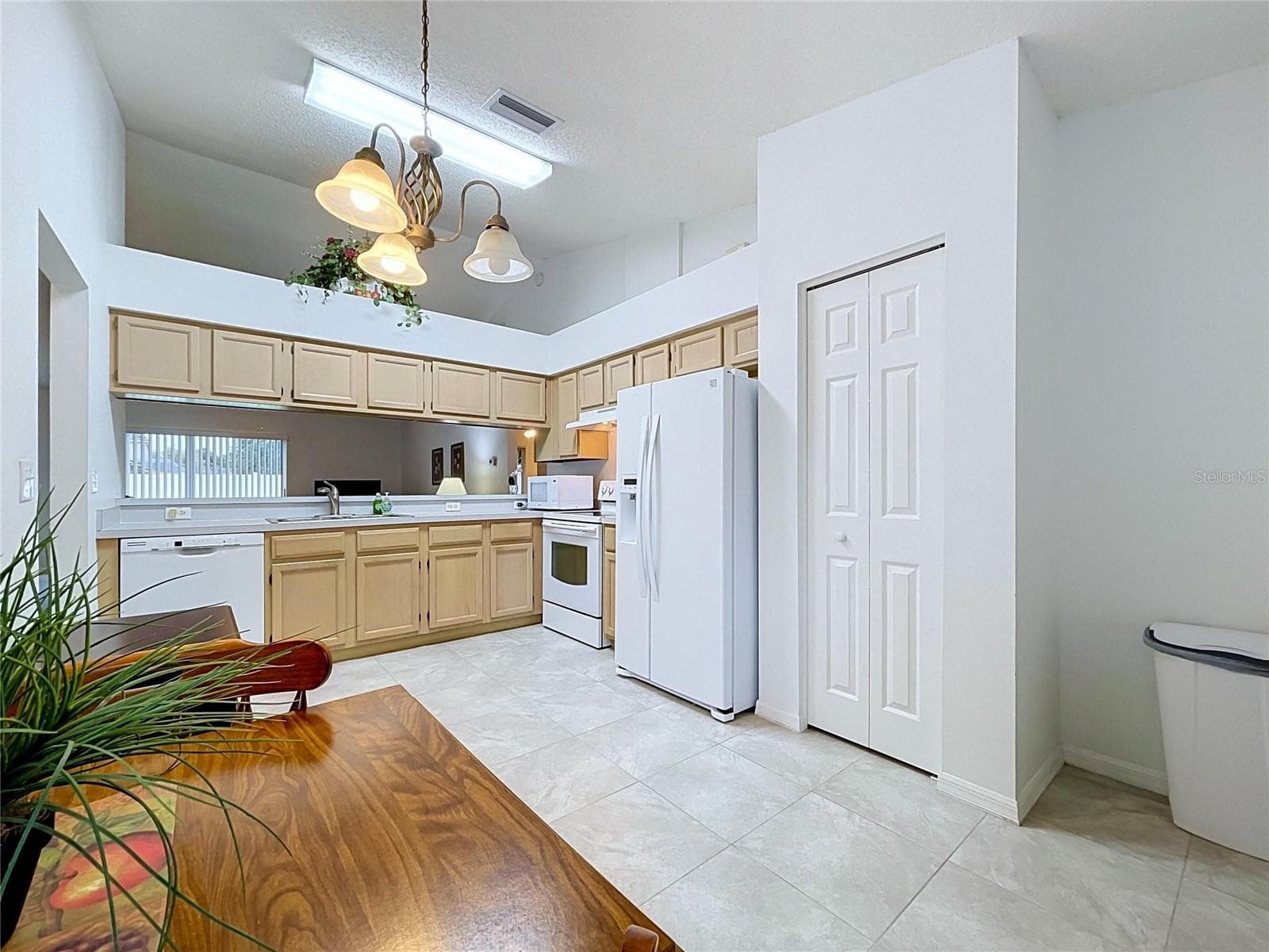 Good lighting with nice counter space - 27408 CORAL SPRINGS DR, WESLEY CHAPEL
