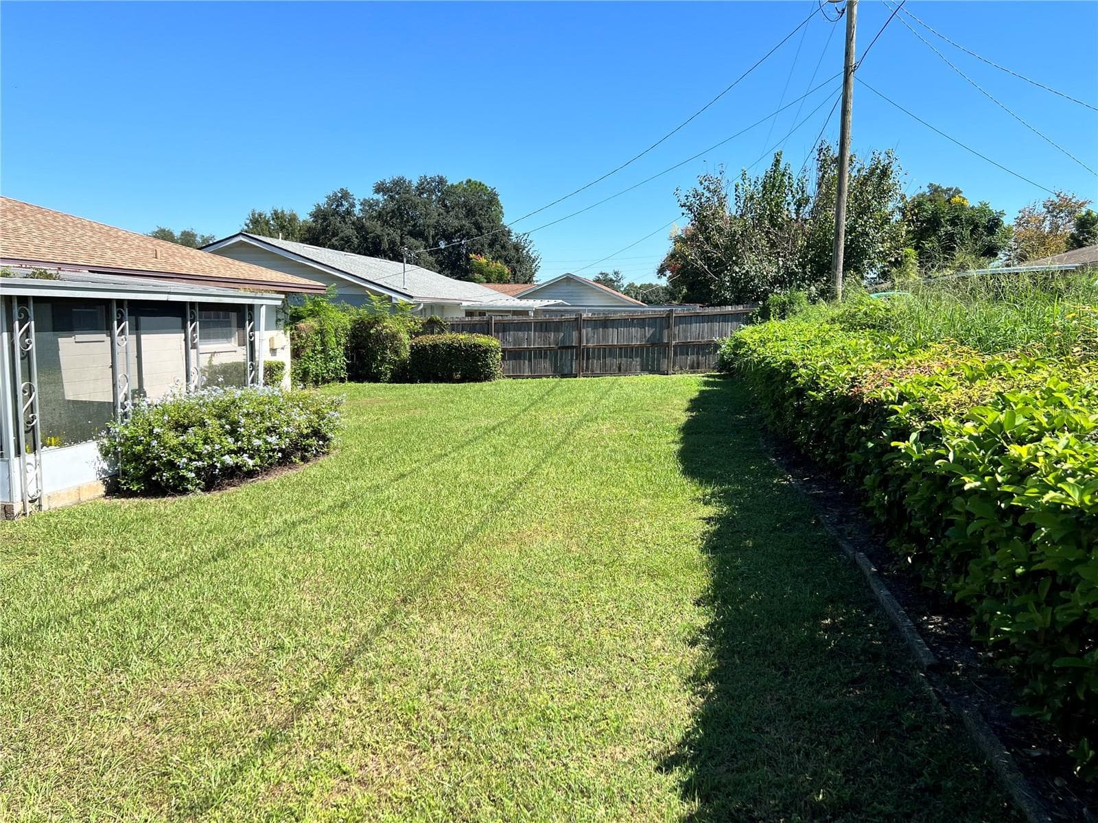 Back yard - 125 WHITTIER LN, WINTER HAVEN
