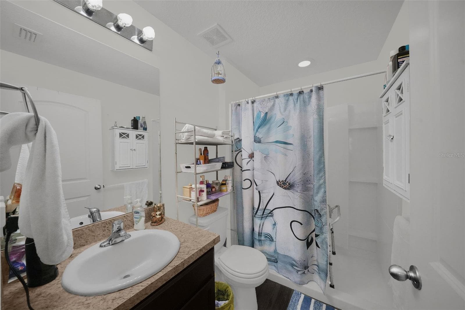 Bathroom - 26448 BERTRAM RD, BROOKSVILLE
