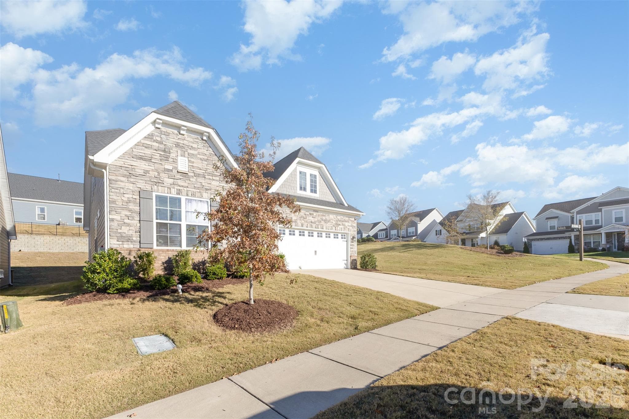 Single Family Residence at 19004 Dry Narrows Way, Charlotte, photo 3 of 45