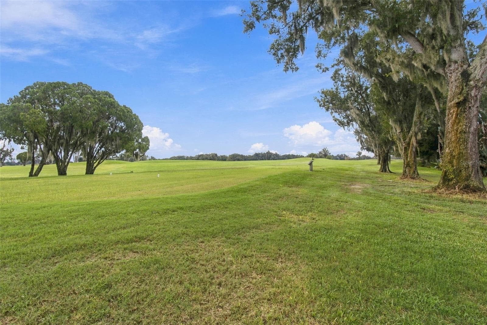 Single Family Residence at 1519 BRILLIANT CUT WAY, VALRICO, photo 51 of 73