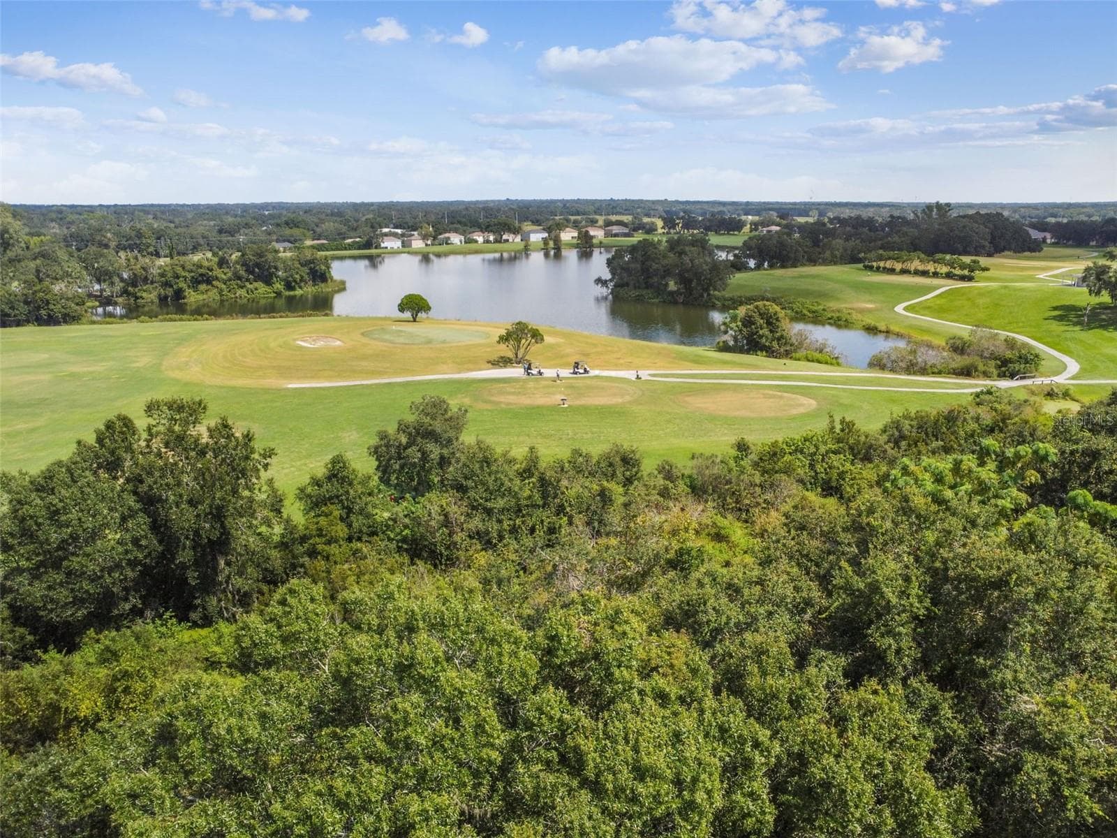 Single Family Residence at 1519 BRILLIANT CUT WAY, VALRICO, photo 61 of 73