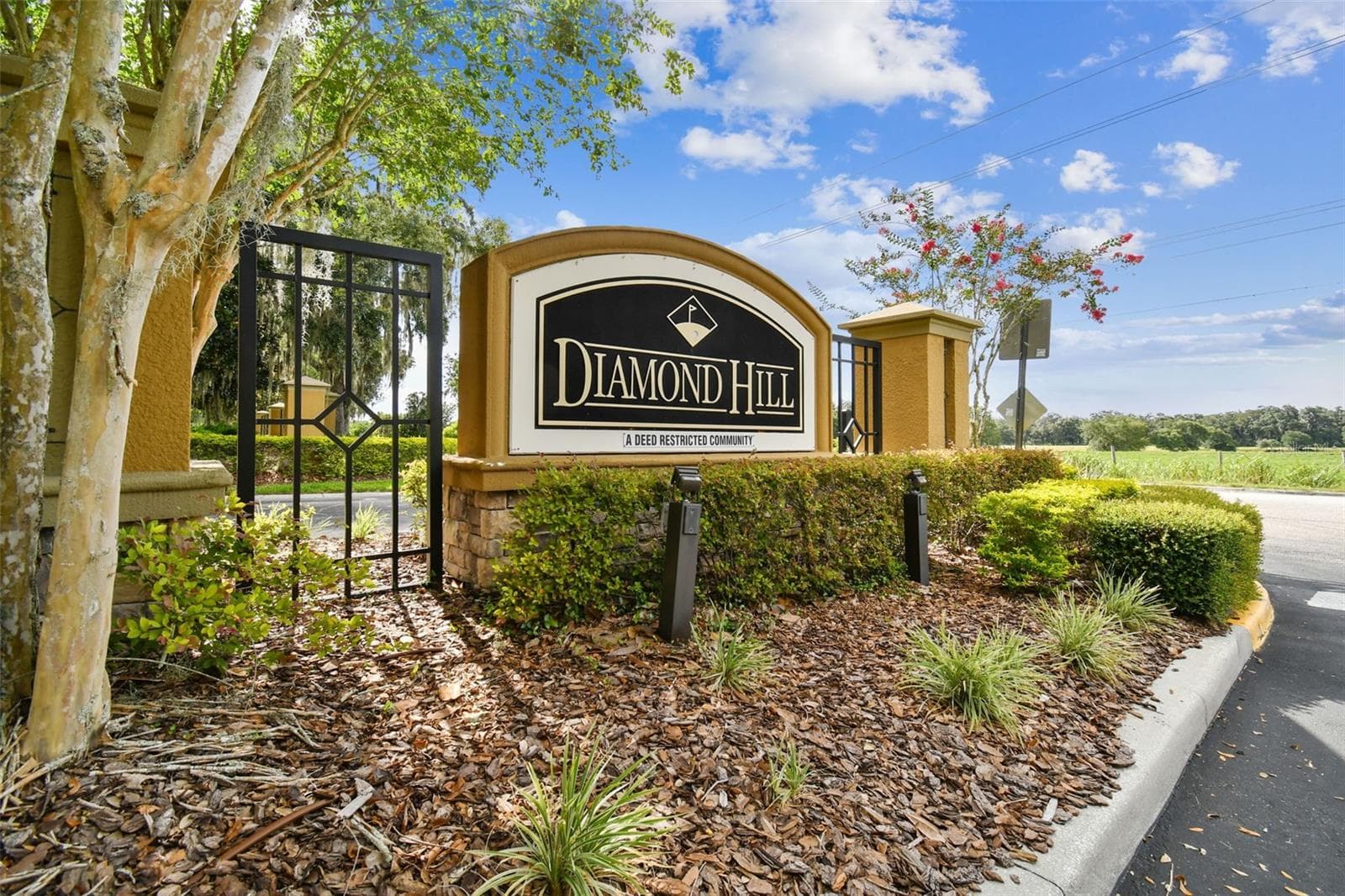 Single Family Residence at 1519 BRILLIANT CUT WAY, VALRICO, photo 62 of 73